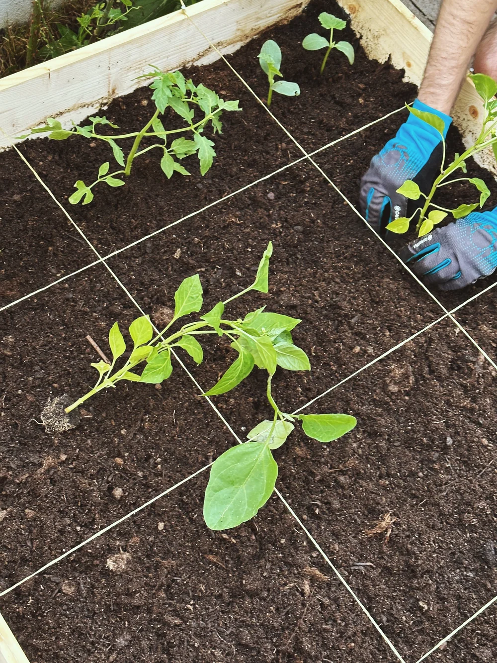 13C3BB56-C4C8-4ECF-A8A2-304309AFF43B 2.jpeg