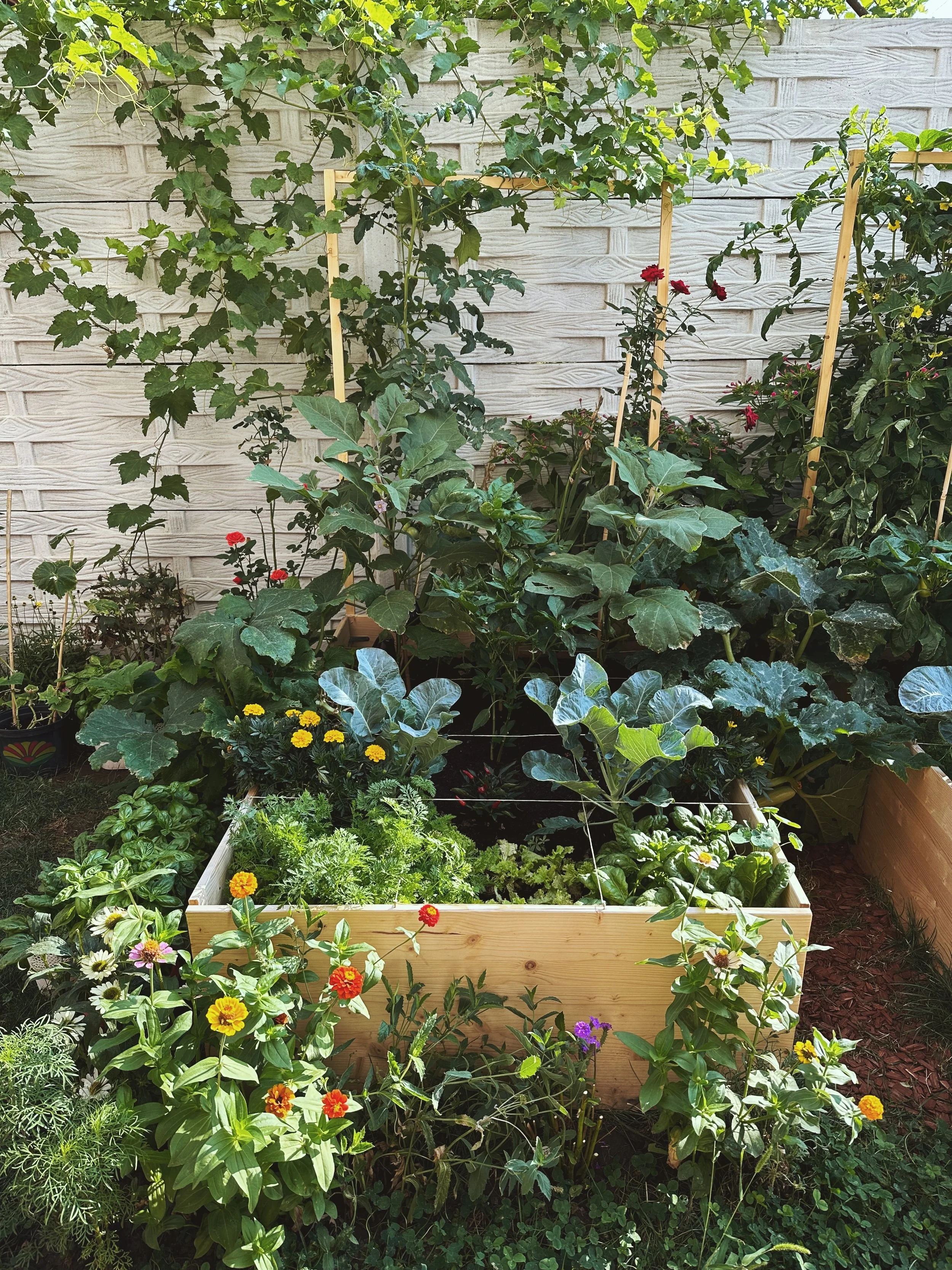how I started a square foot garden