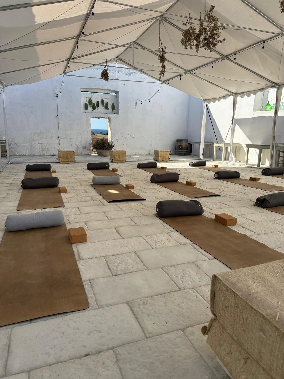 WhatsApp Image 2025-09-22 at 09.49.02.jpeg