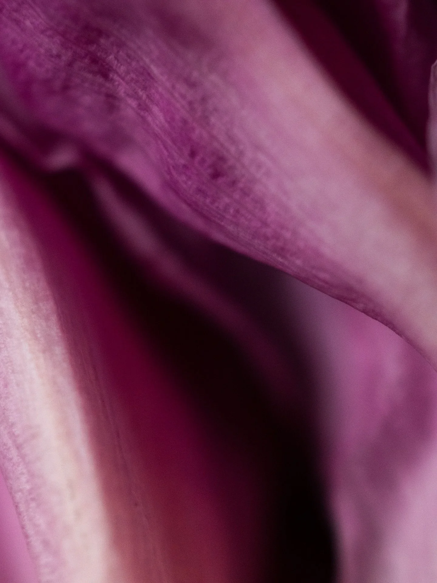 Sensuality is honesty in sensation, in surrender, and in presence.

It is the willingness to feel, even when feeling costs me control.

Sensuality is sensation fully inhabited
felt all the way through
allowed to expand,
allowed to exist.

It is being