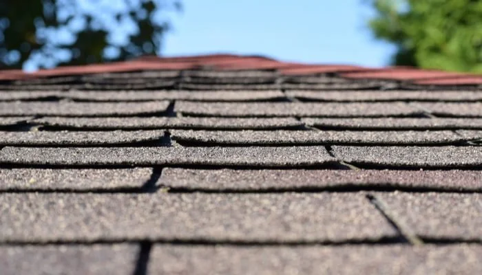 Rubberized vs. Traditional Asphalt Shingles: Which Is Better for Michigan Homes?
