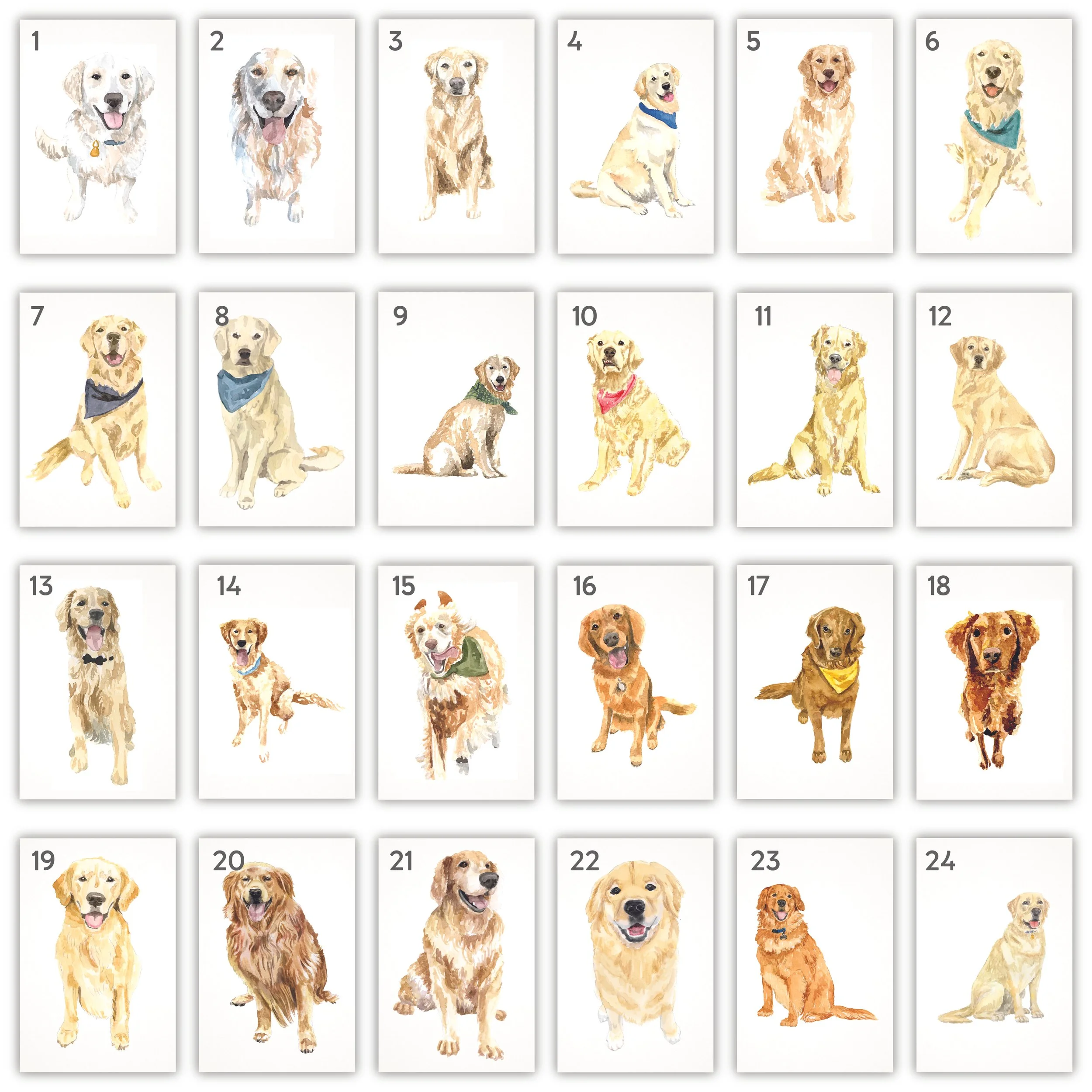 All Pets with Numbers-01.jpg