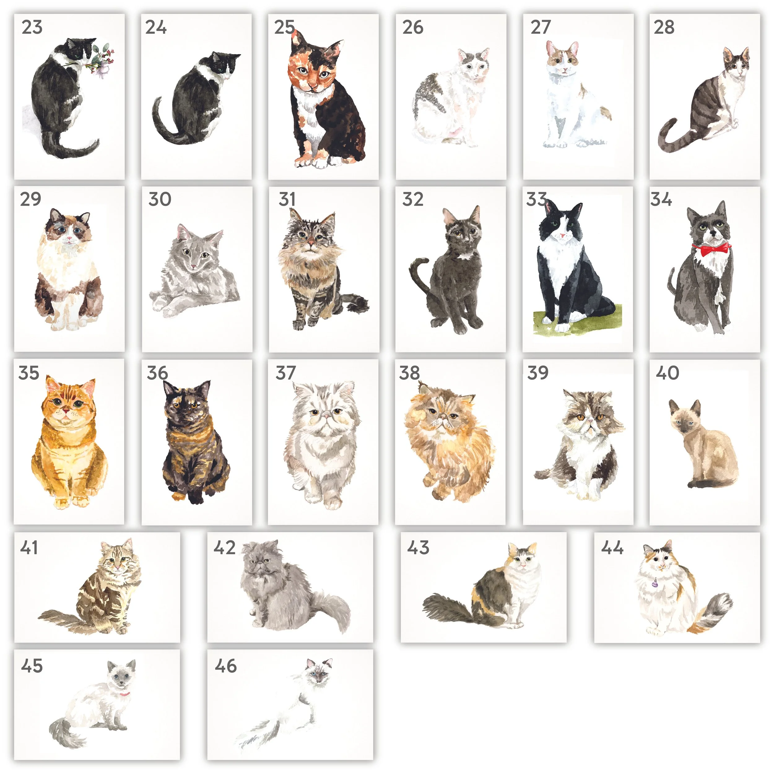 All Pets with Numbers-11.jpg