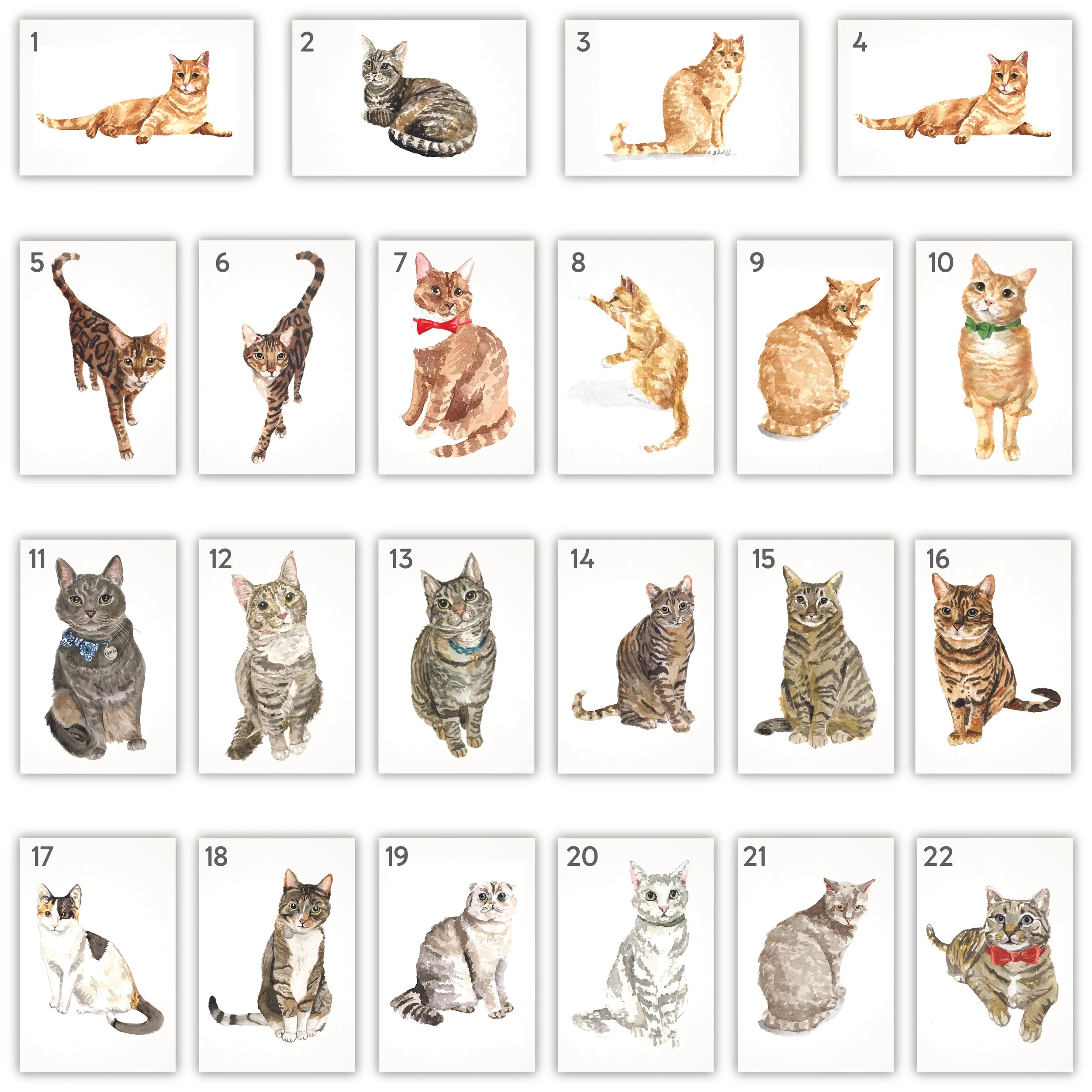 All Pets with Numbers-10.jpg