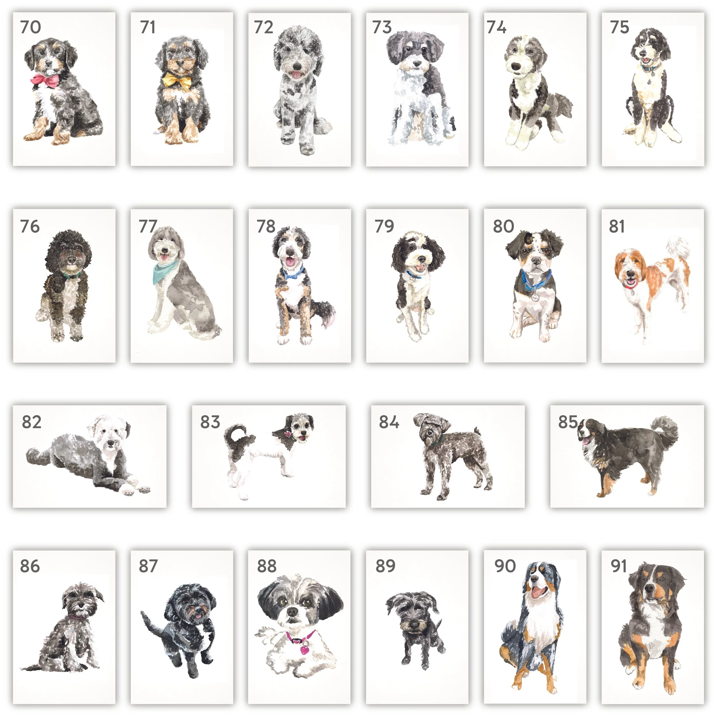 All Pets with Numbers-04.jpg