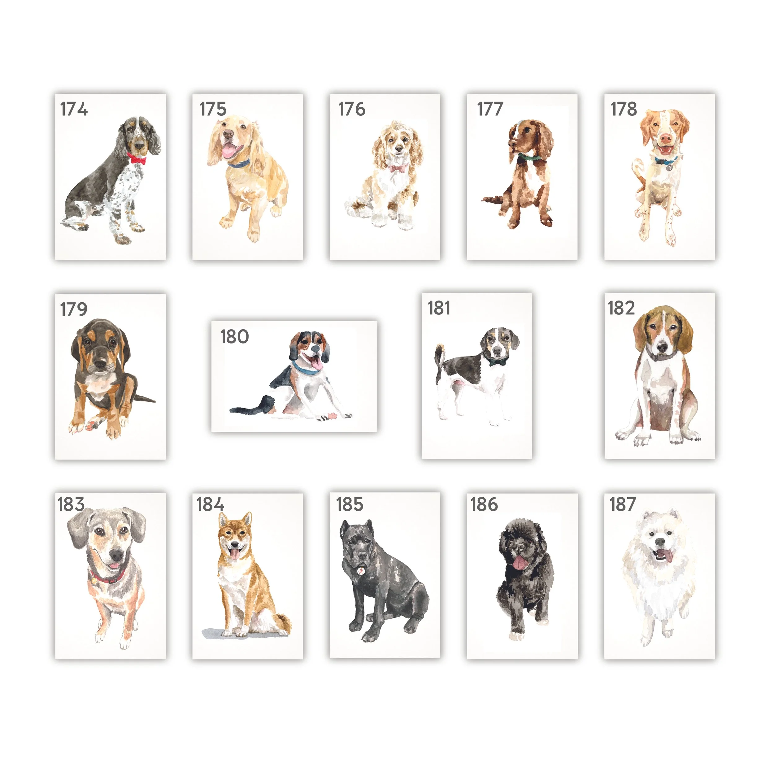 All Pets with Numbers-09.jpg