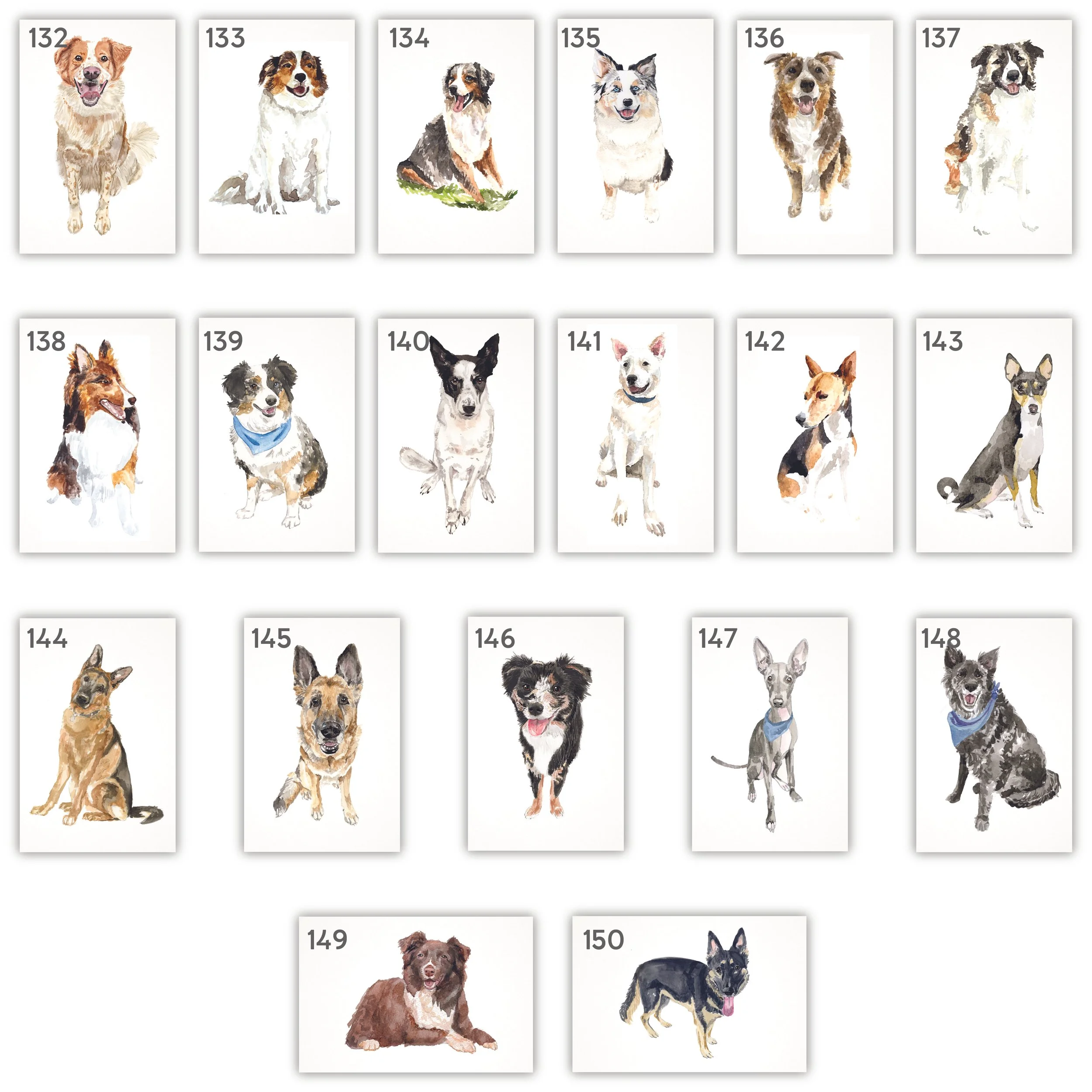 All Pets with Numbers-07.jpg