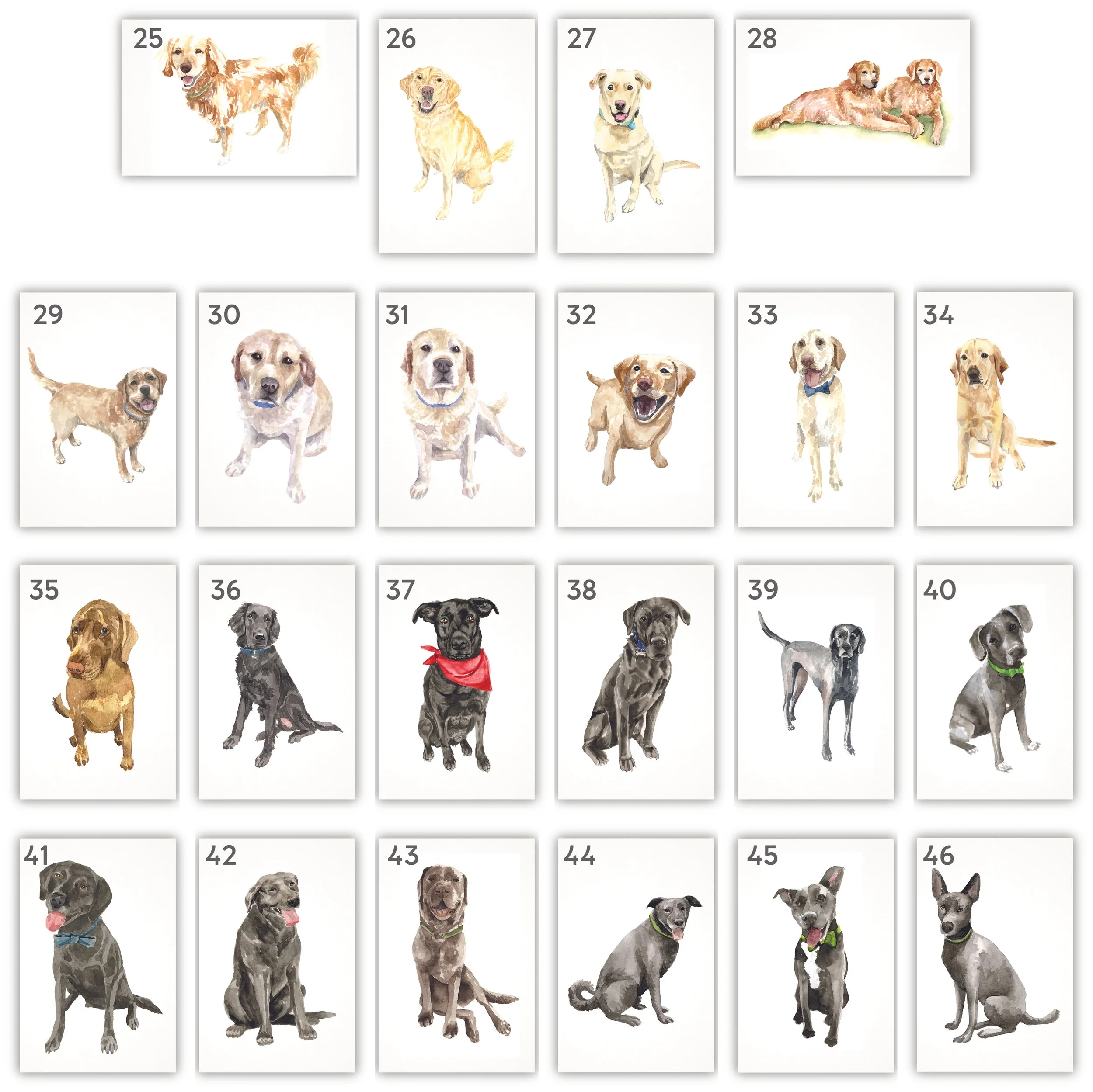 All Pets with Numbers-02.jpg