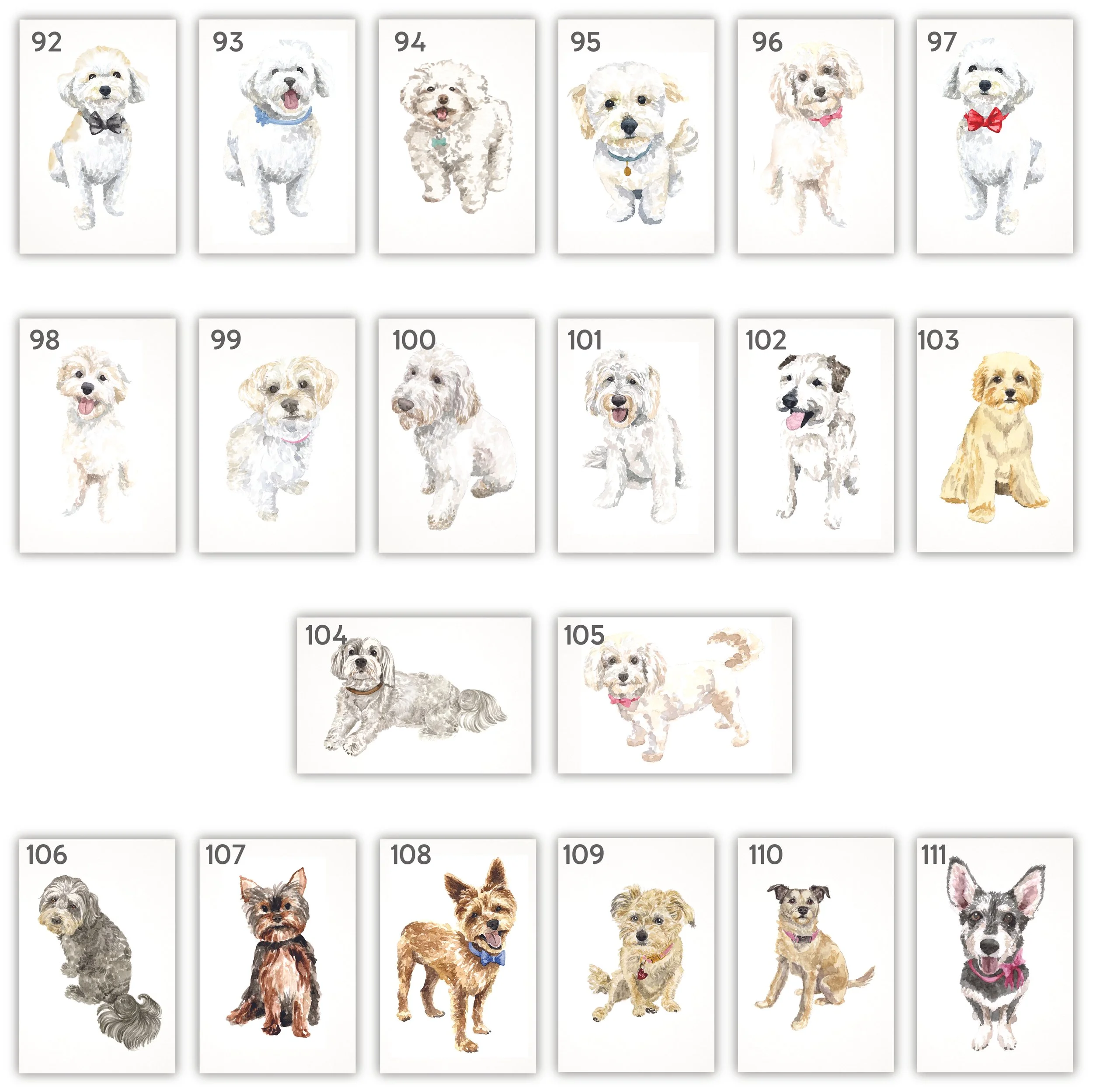 All Pets with Numbers-05.jpg