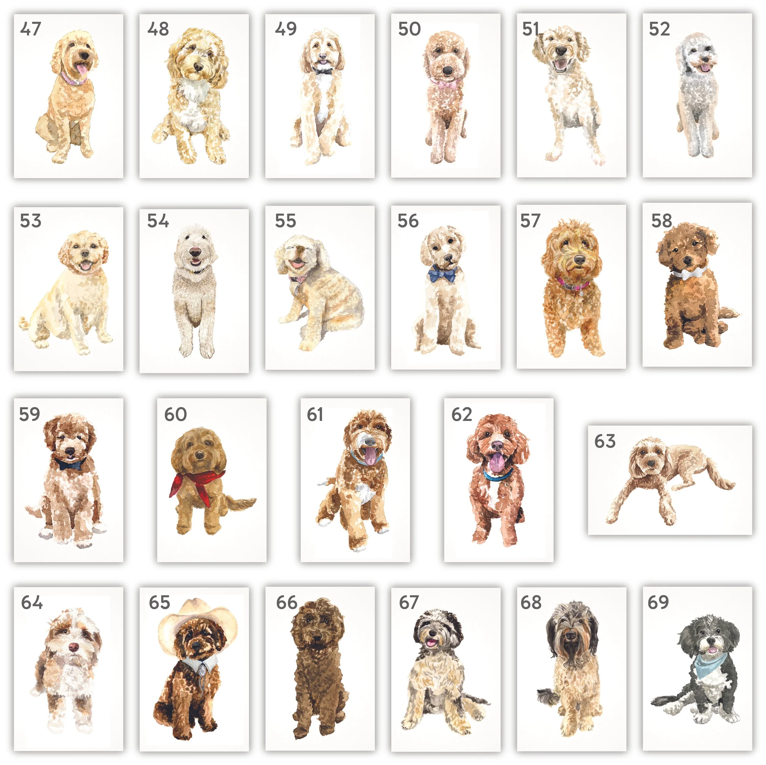 All Pets with Numbers-03.jpg