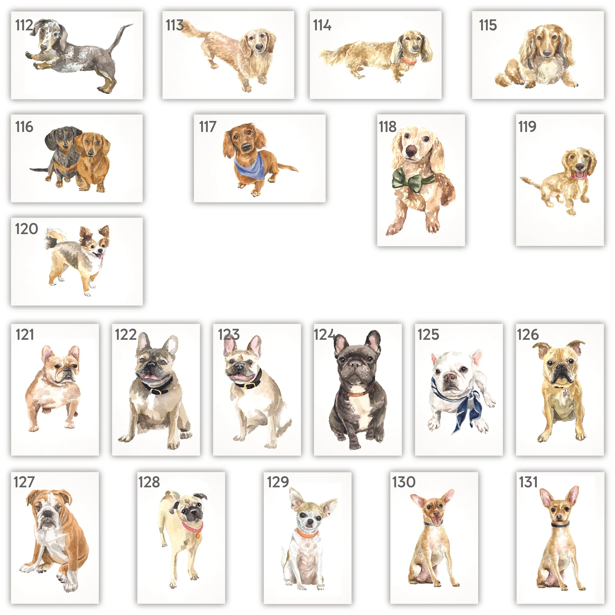 All Pets with Numbers-06.jpg
