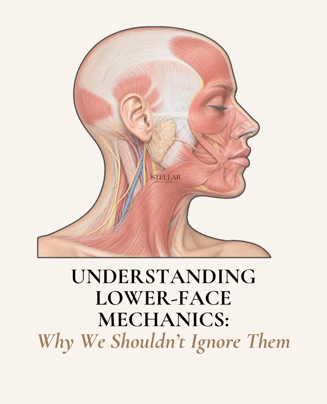 Let&rsquo;s help the upper face, lower face and neck age in the same decade. 

#lexingtonma #boston #botox #facialbalancing #neck