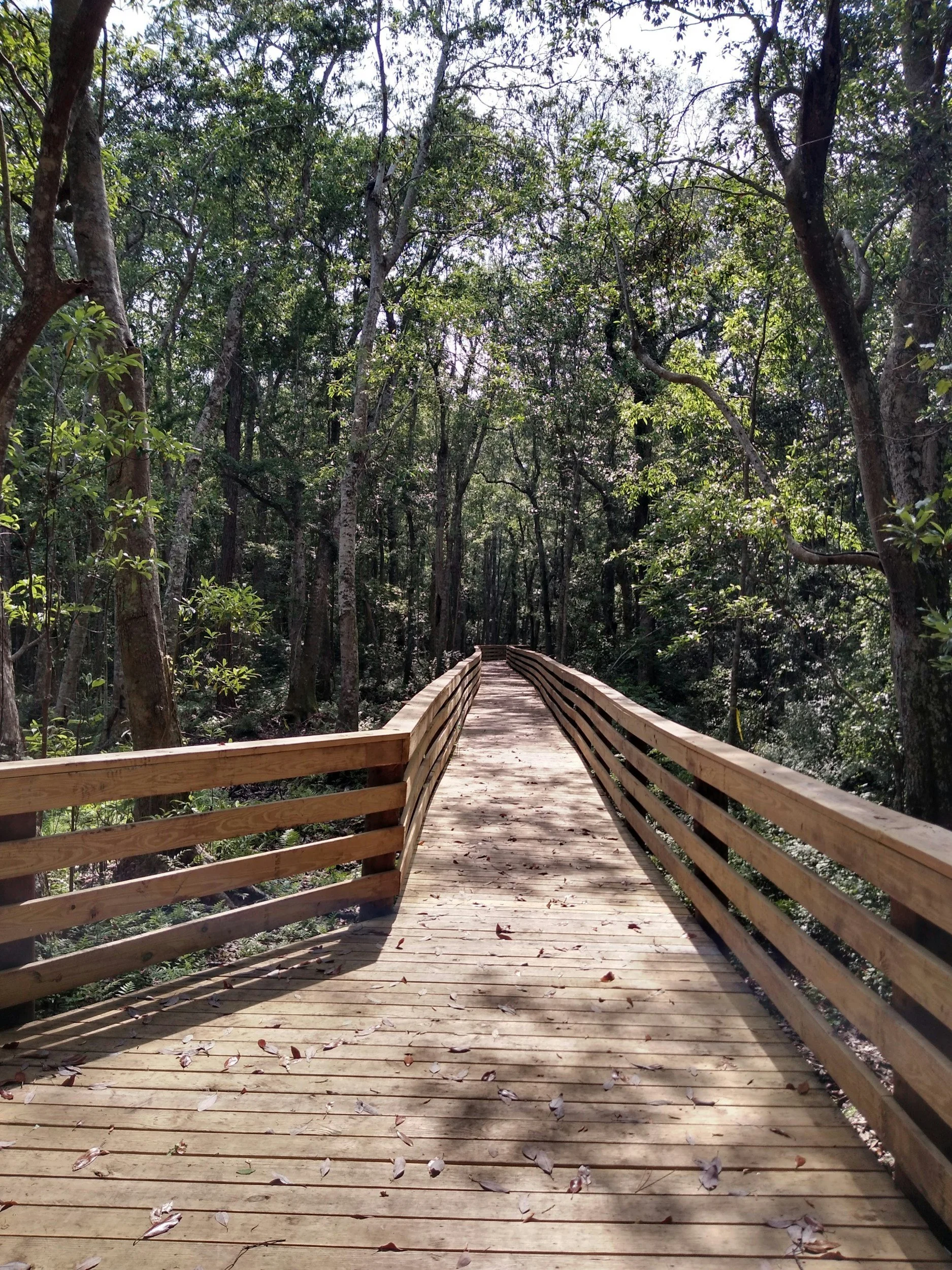 Peaceful Pensacola, Florida setting for adults traveling for EMDR intensive therapy and nervous system healing.