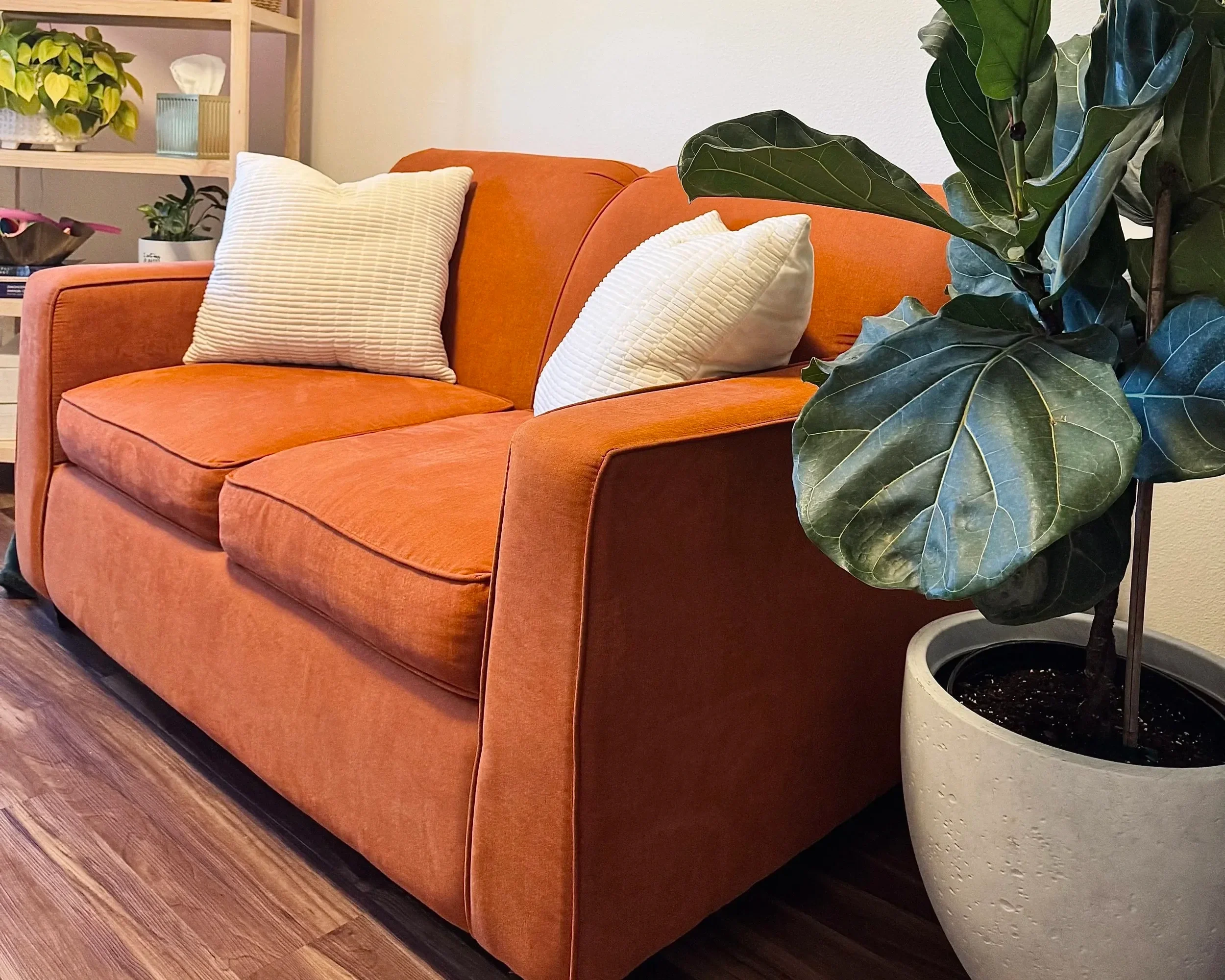Warm trauma therapy office in Florida designed for EMDR intensives and nervous system healing