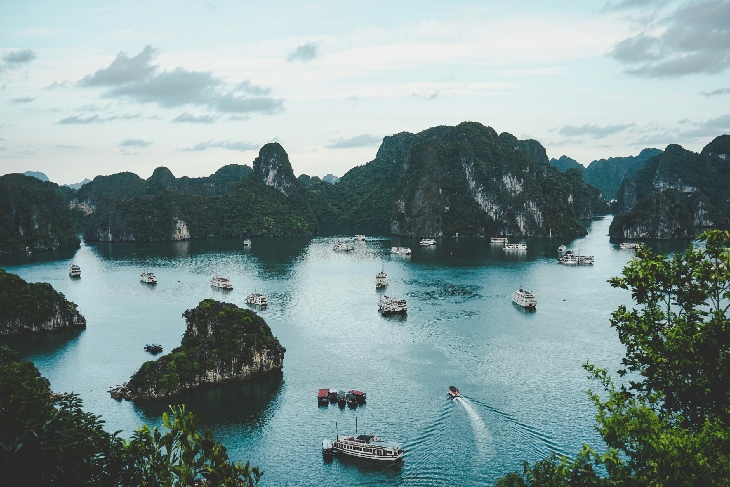 Student Spotlight: Ashley Saddler Jr. in Vietnam