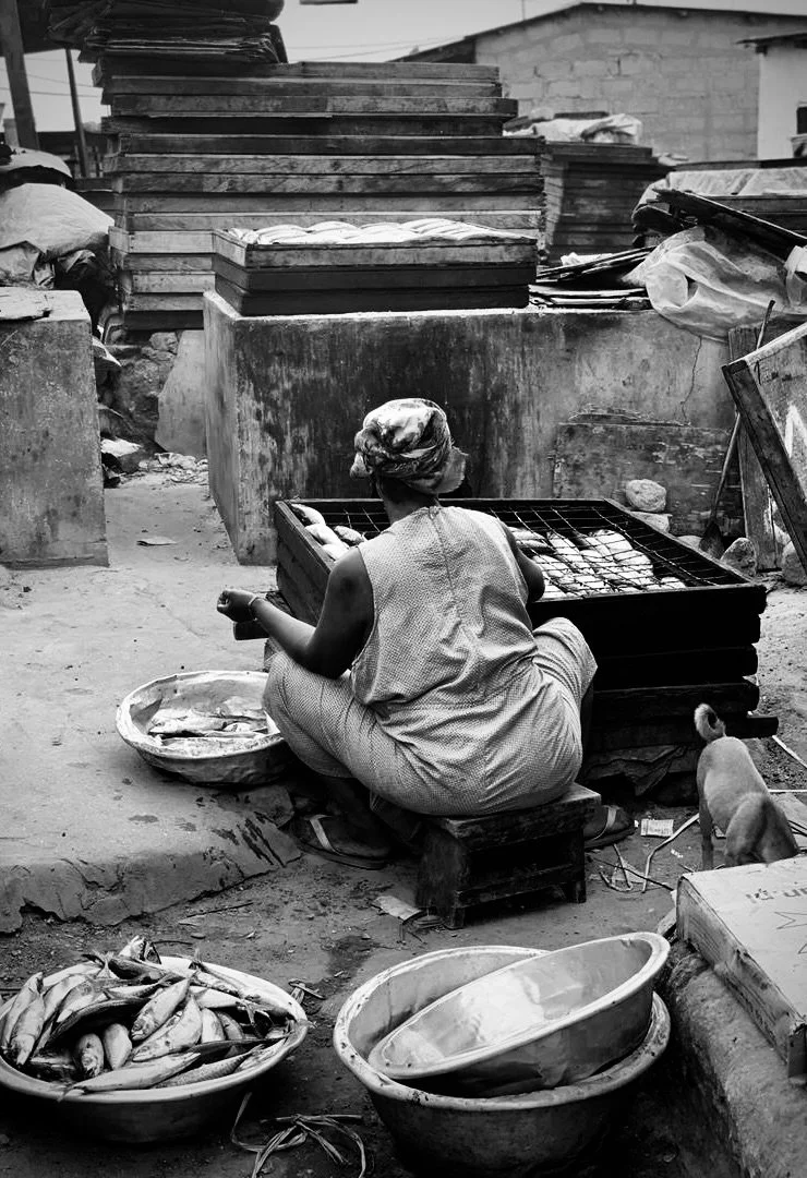 528E4453-2A83-4103-A6C6-38530800ACE4_1_201_a - Syd.jpeg