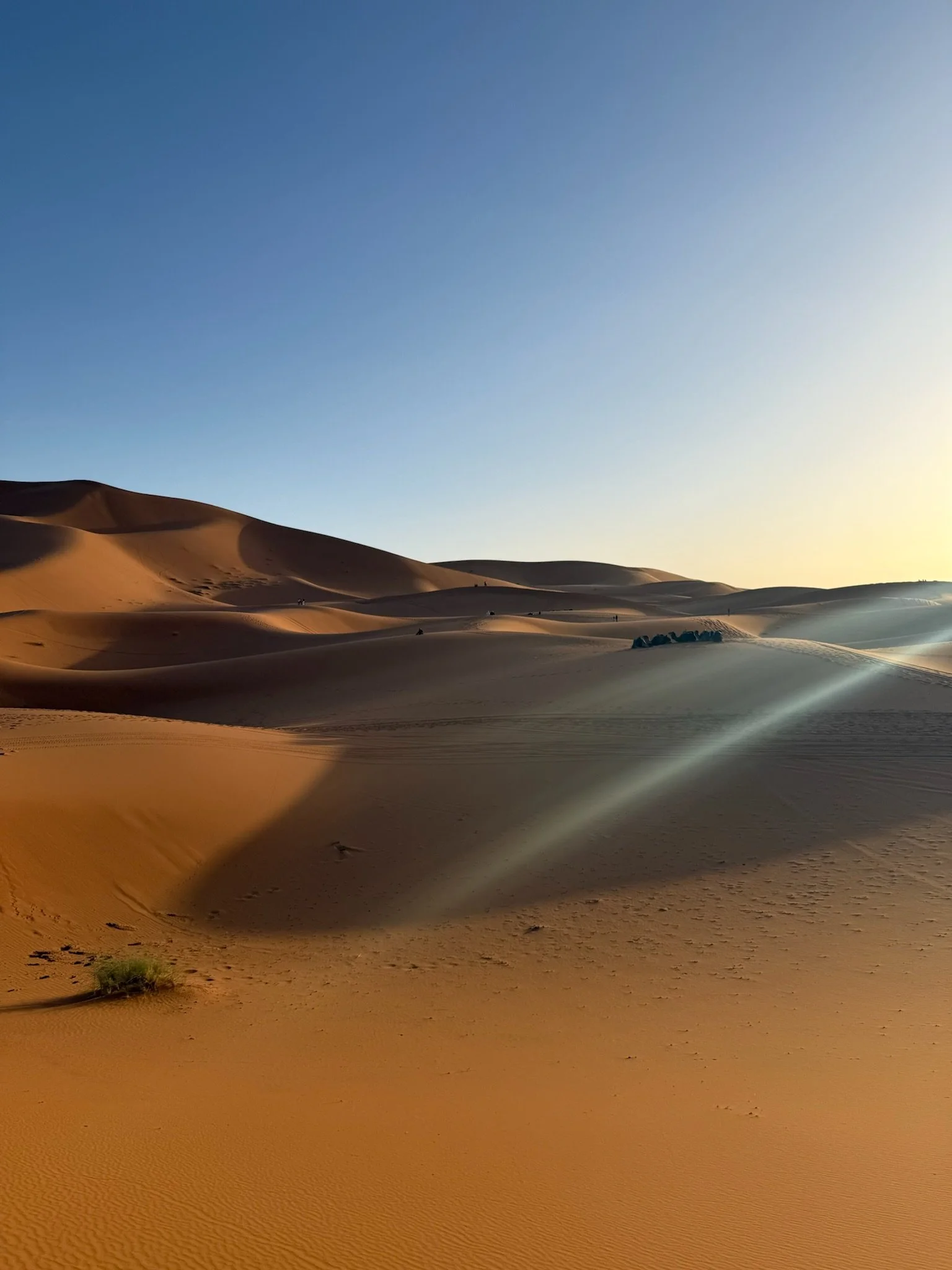 IMG_0011 - Vicktryl.M.jpeg