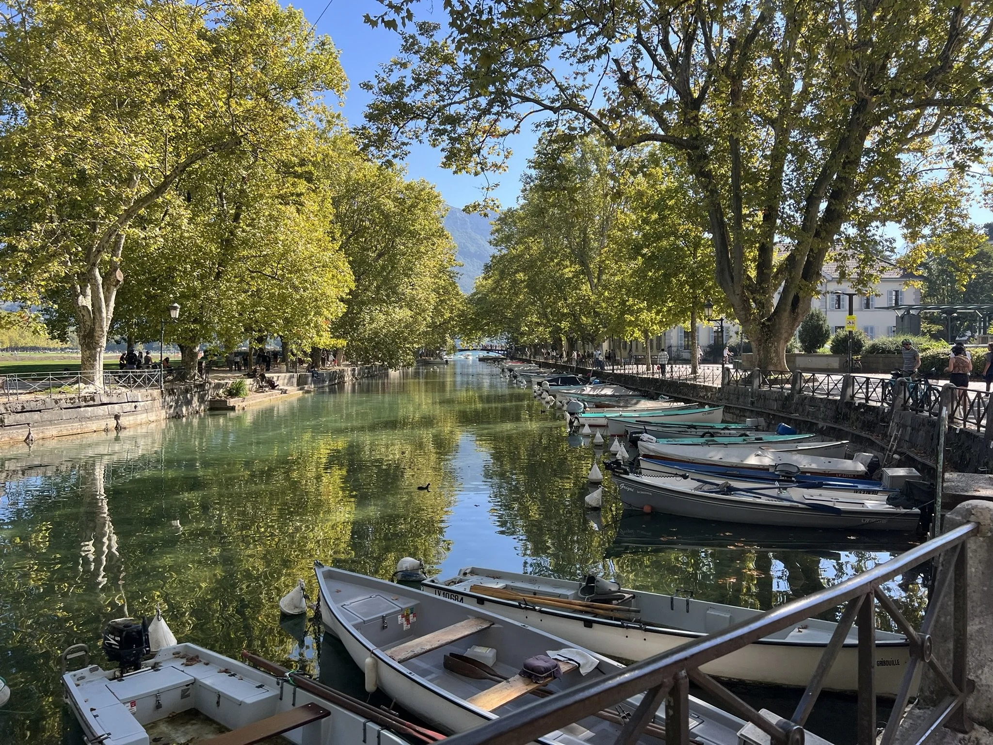 738C5D7A-6D4C-45F2-B8DC-0132E8FBE12A_1_102_o - Omarion Aubert.jpeg