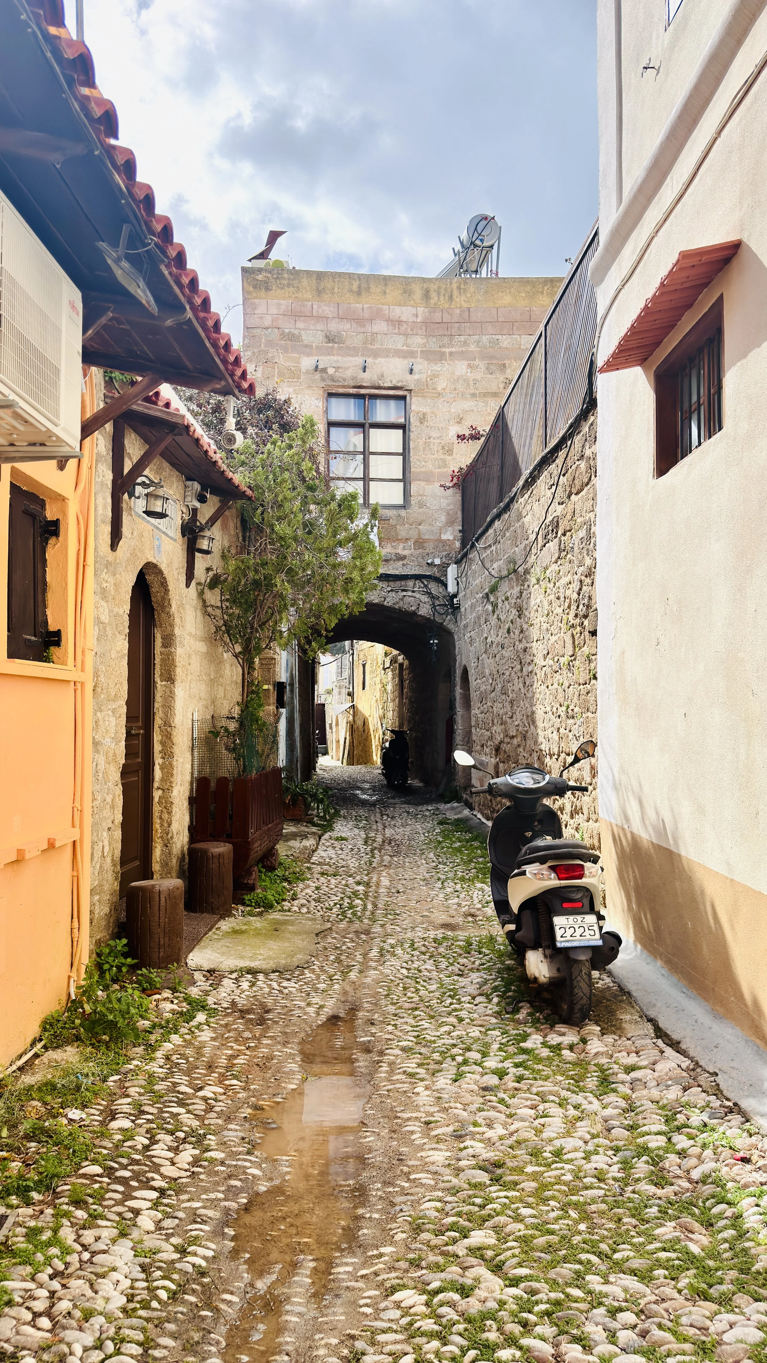 IMG_6714 - Isaiah White.jpeg