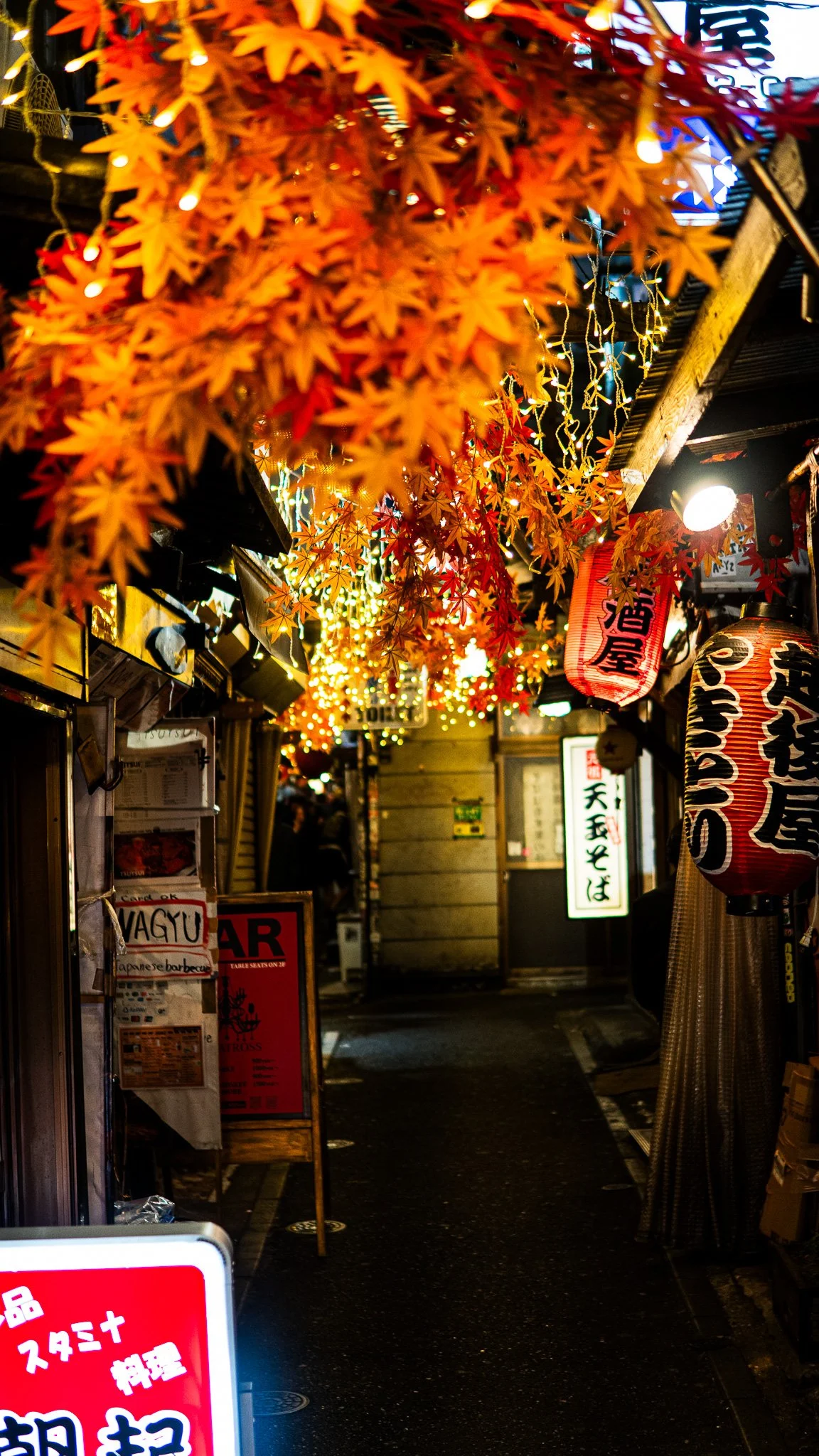 DSC02832 - Quirino Griffin.jpg