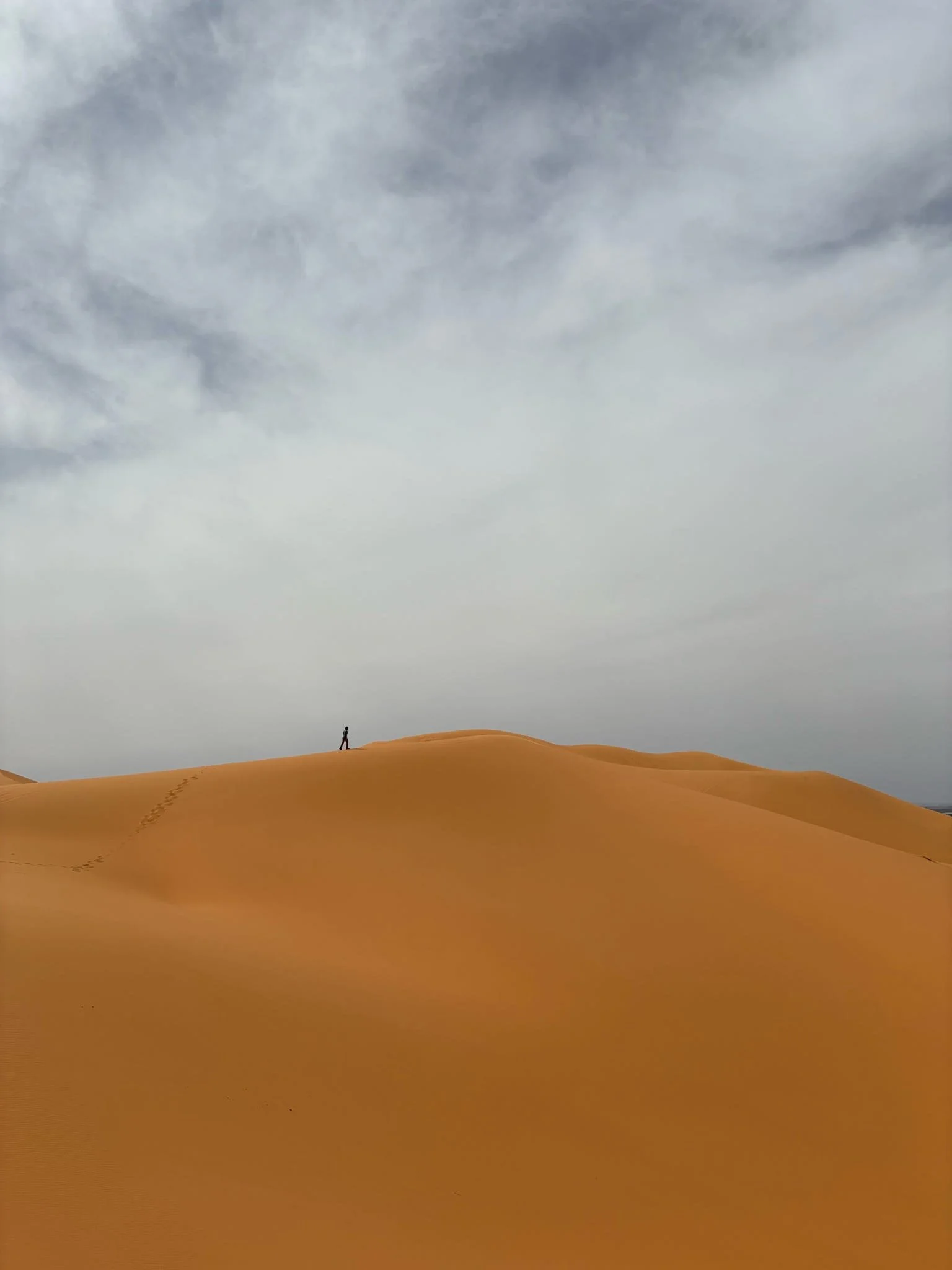 20260227_160543_0A1C95 - Saiyvionn Williiams.jpeg