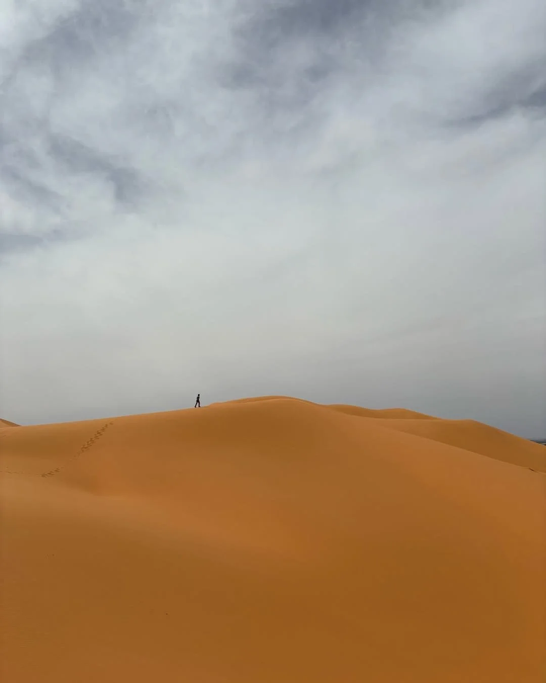 Joy Worldwide Inc. Photo Contest Winners Spring 2026 