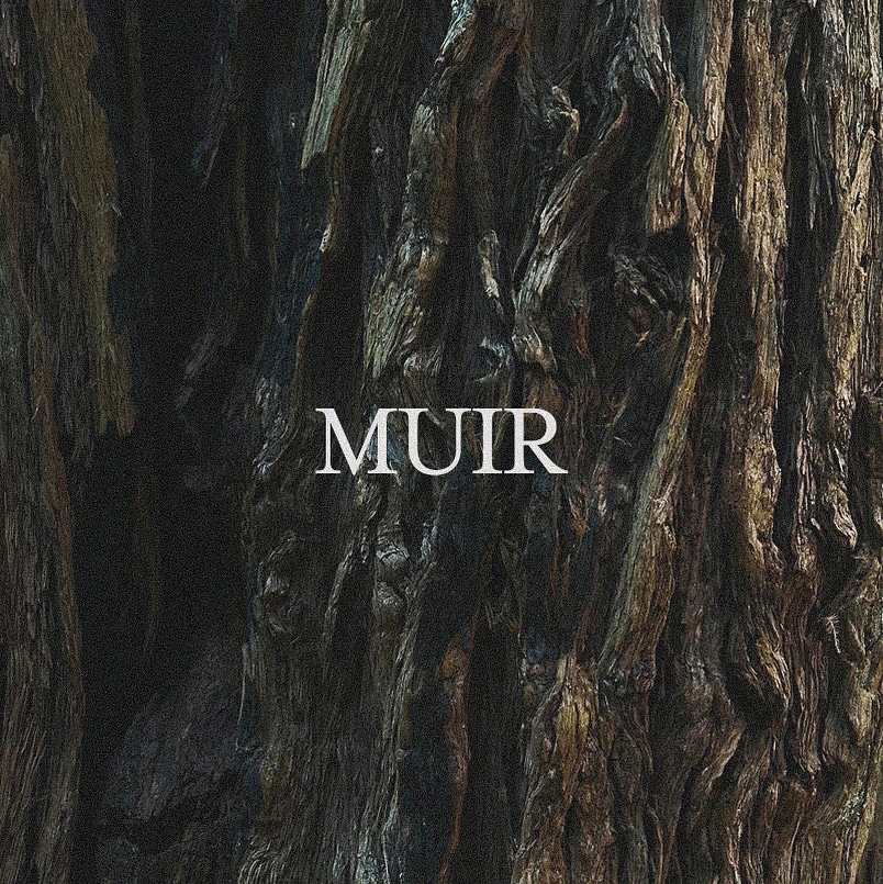 muir.gif