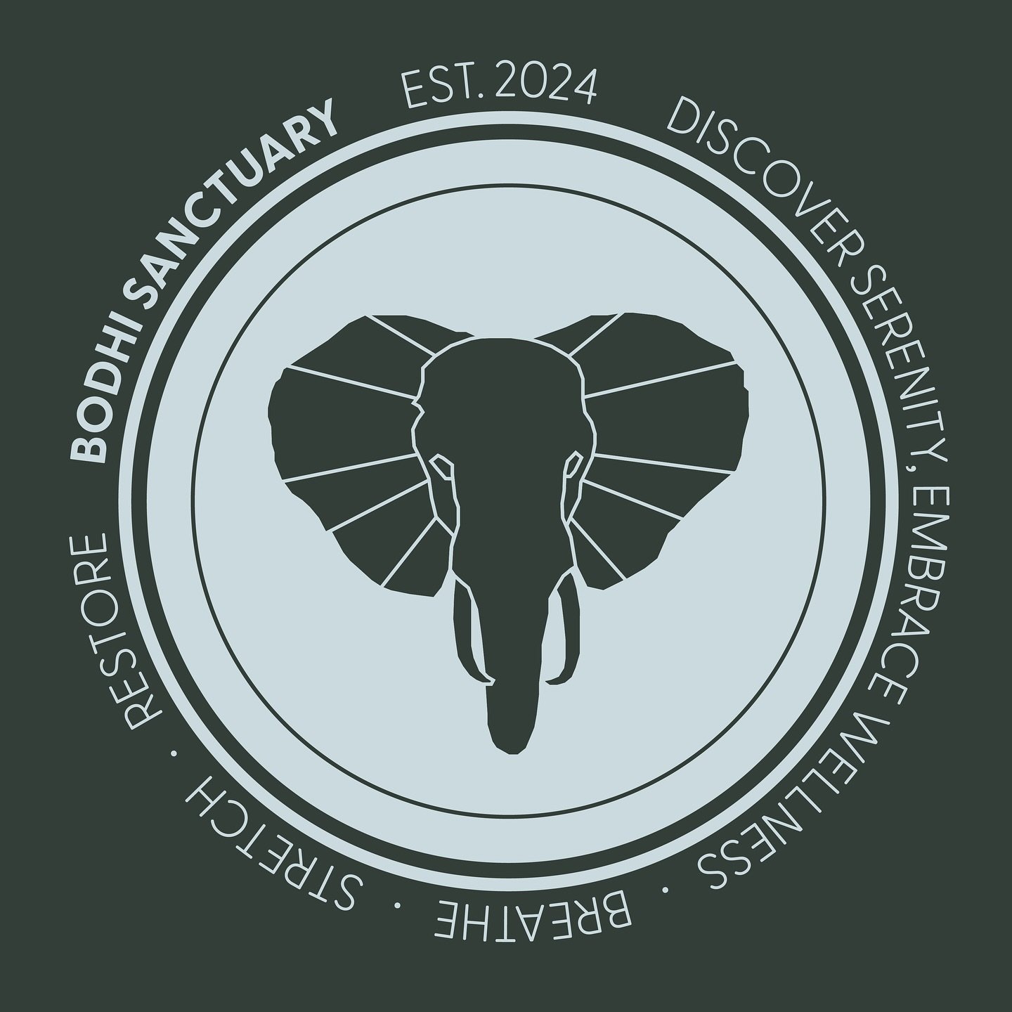 Ok ok ok - I&rsquo;ve been quiet but not because I don&rsquo;t love you but because I&rsquo;ve been busy! Couple new projects awaiting rollout and here is a sneak peek at @bodhisanctuary &lsquo;s new branding! 🐘 

Putting the last bits and bobbles i