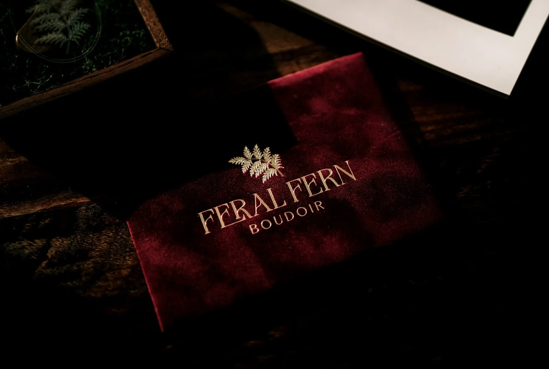 Things I&rsquo;m good at: photographing women
Things I&rsquo;m bad at: photographing what I actually sell 😂 
&hellip;.
So anyway, this is the velvet envelope with 5x7 prints that I&rsquo;m obsessed withhhh. Last week I did some rearranging of the Co
