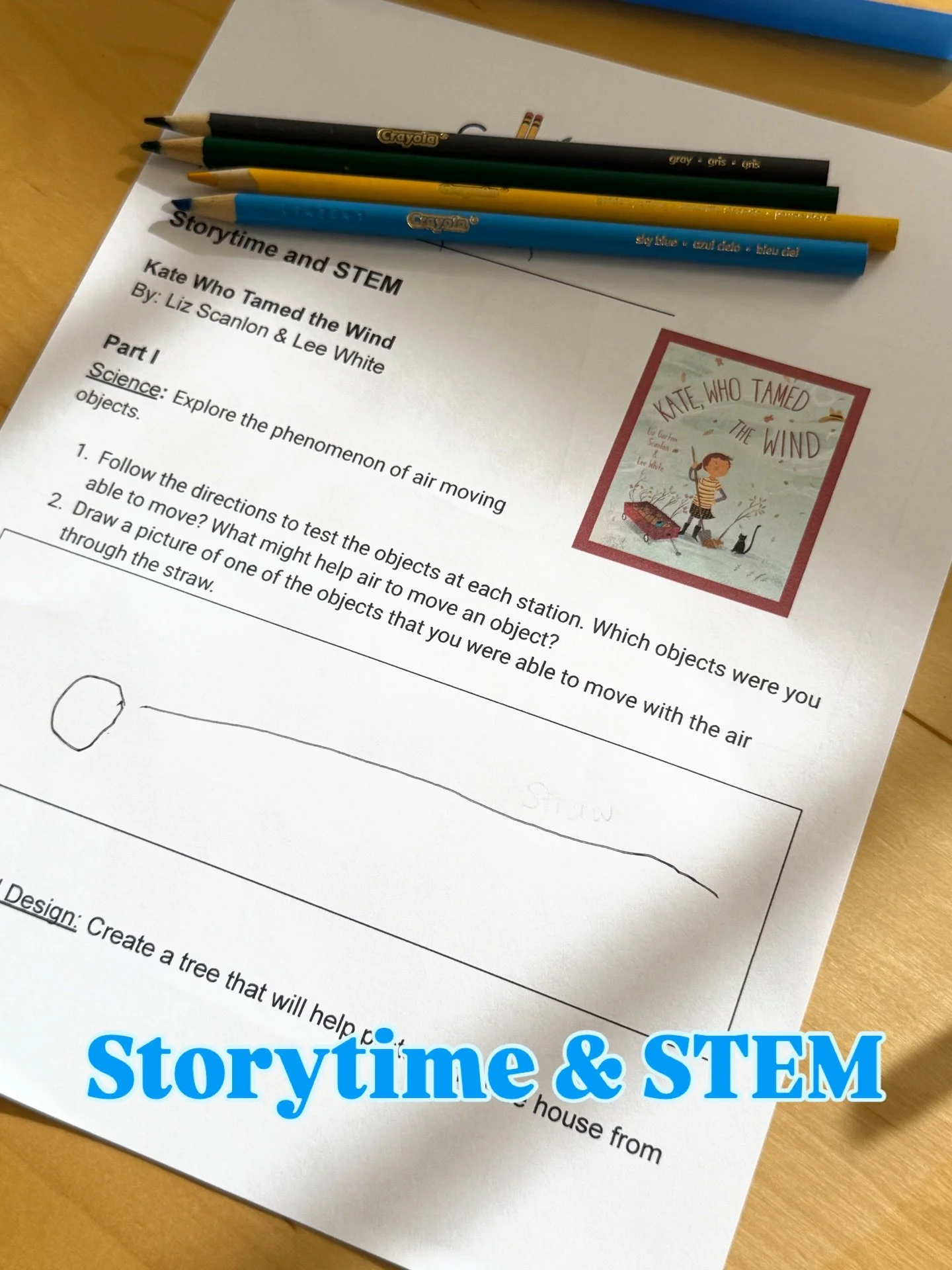 This STEM &amp; Storytime class was inspired by Liz Scanlon &amp; Lee White and focused on exploring how air can move objects.

Children rotated through stations, following directions to test which objects could move using air through a straw and dis