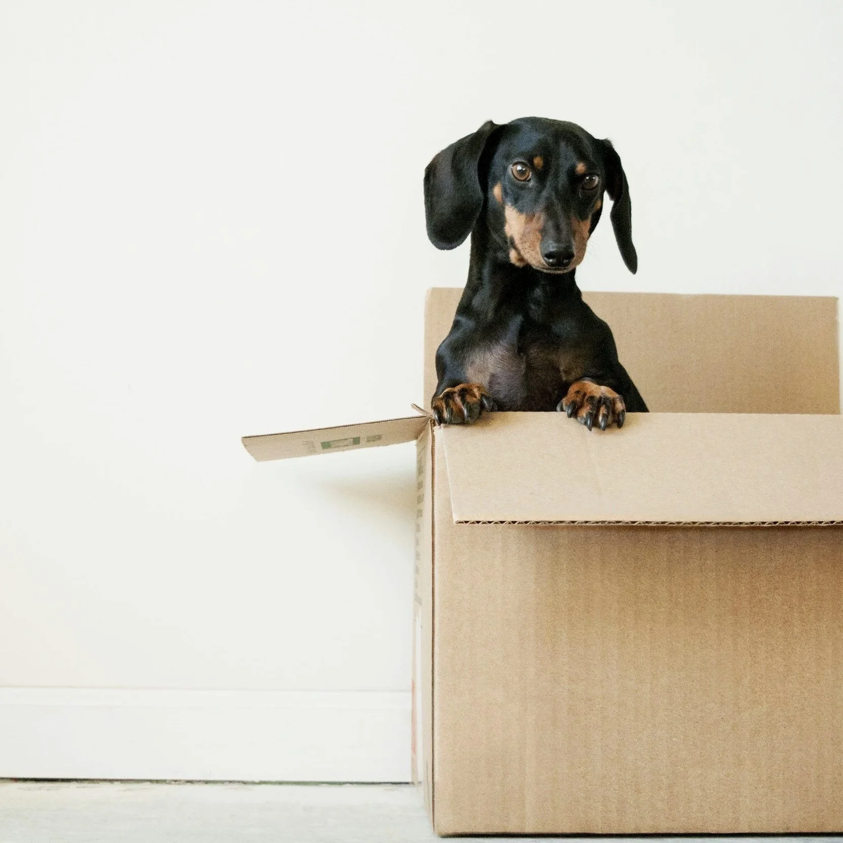 You Survived the Divorce. Will Moving In With Someone New Cost You the Settlement?