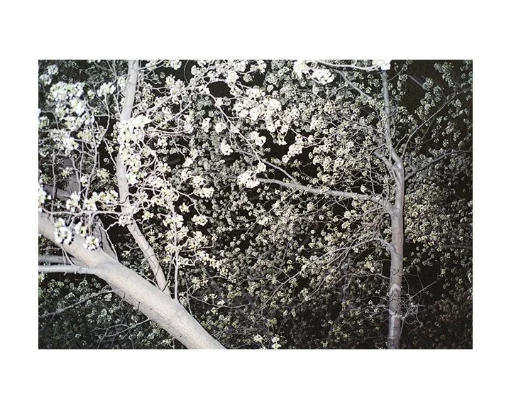 NICK_ZINNER_GROSS_GALLERY_WM_98.jpg
