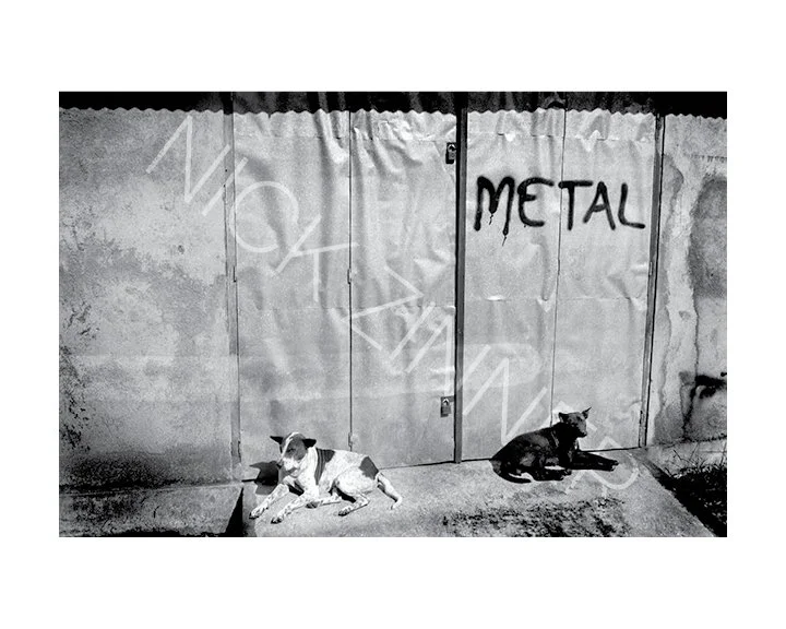 NICK_ZINNER_GROSS_GALLERY_WM_58.jpg