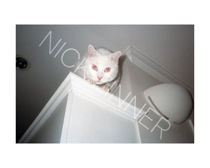NICK_ZINNER_GROSS_GALLERY_WM_14.jpg