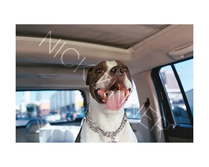 NICK_ZINNER_GROSS_GALLERY_WM_23.jpg