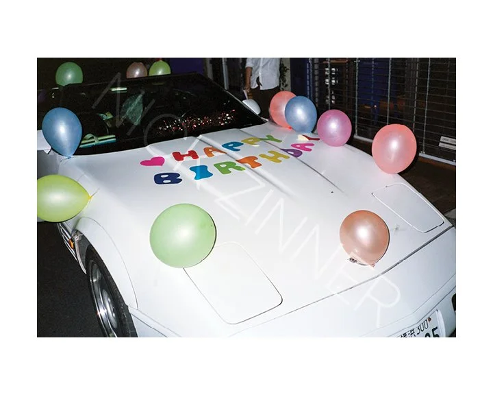 NICK_ZINNER_GROSS_GALLERY_WM_5.jpg