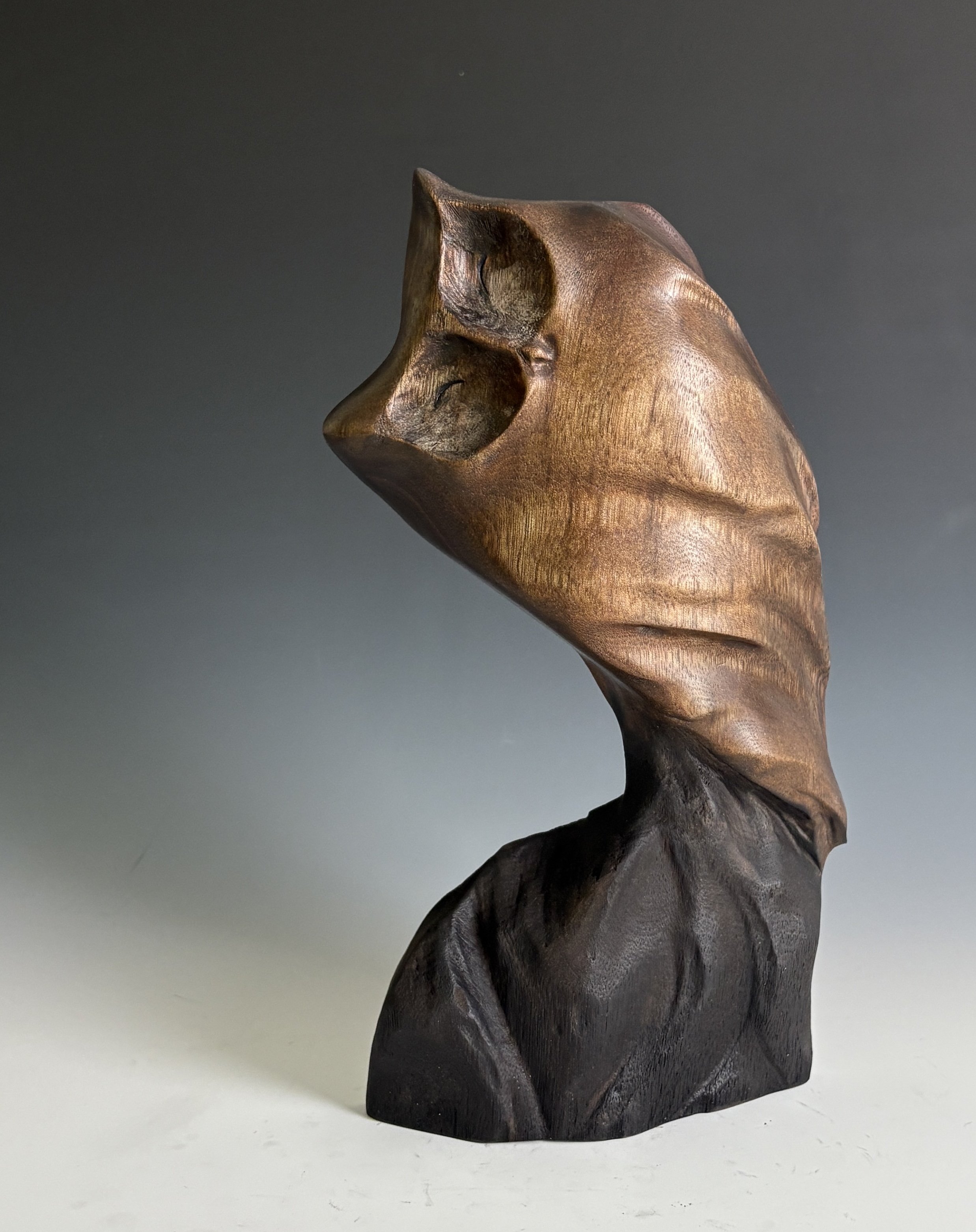 Night Kiss, 2025. Black Walnut — 10 x 6 in, private collection.