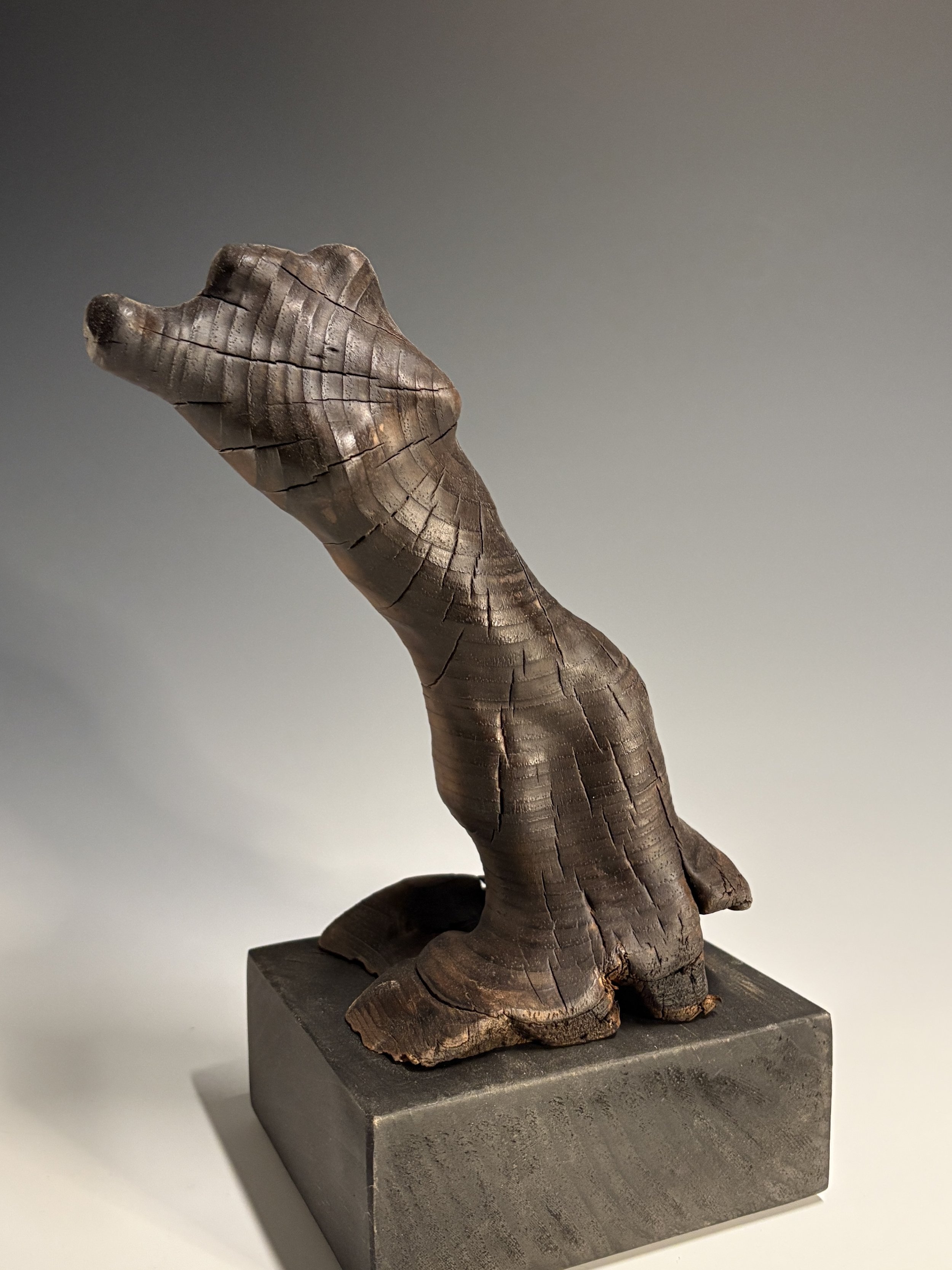 Fractured Grace II, 2026.  White Pine — 11 x 7 in.