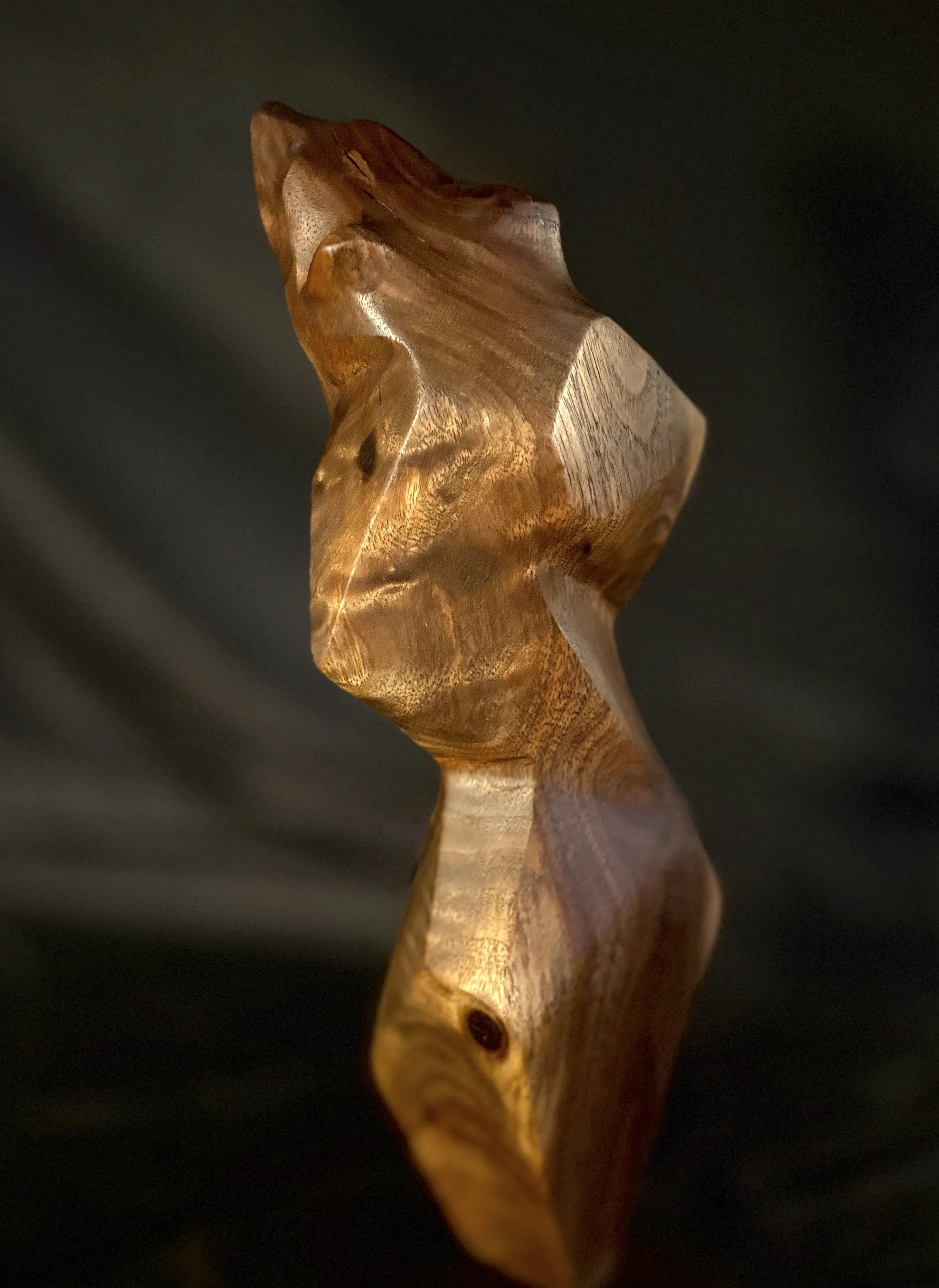 Facets of Nature II — 14 x 5 in.