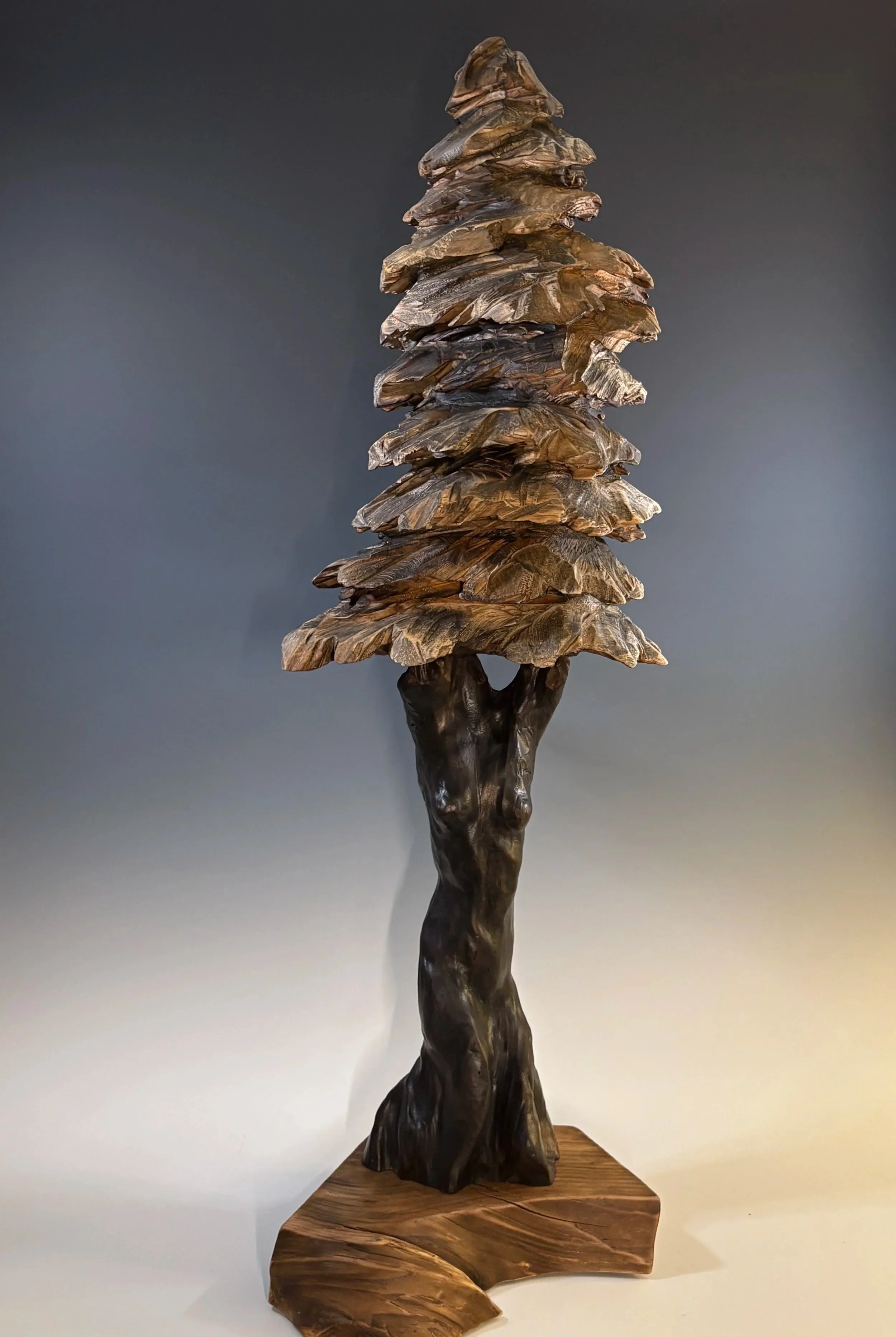 Daphne, 2025. Leyland cypress, White Pine — 42 x 14 in. Private Collection