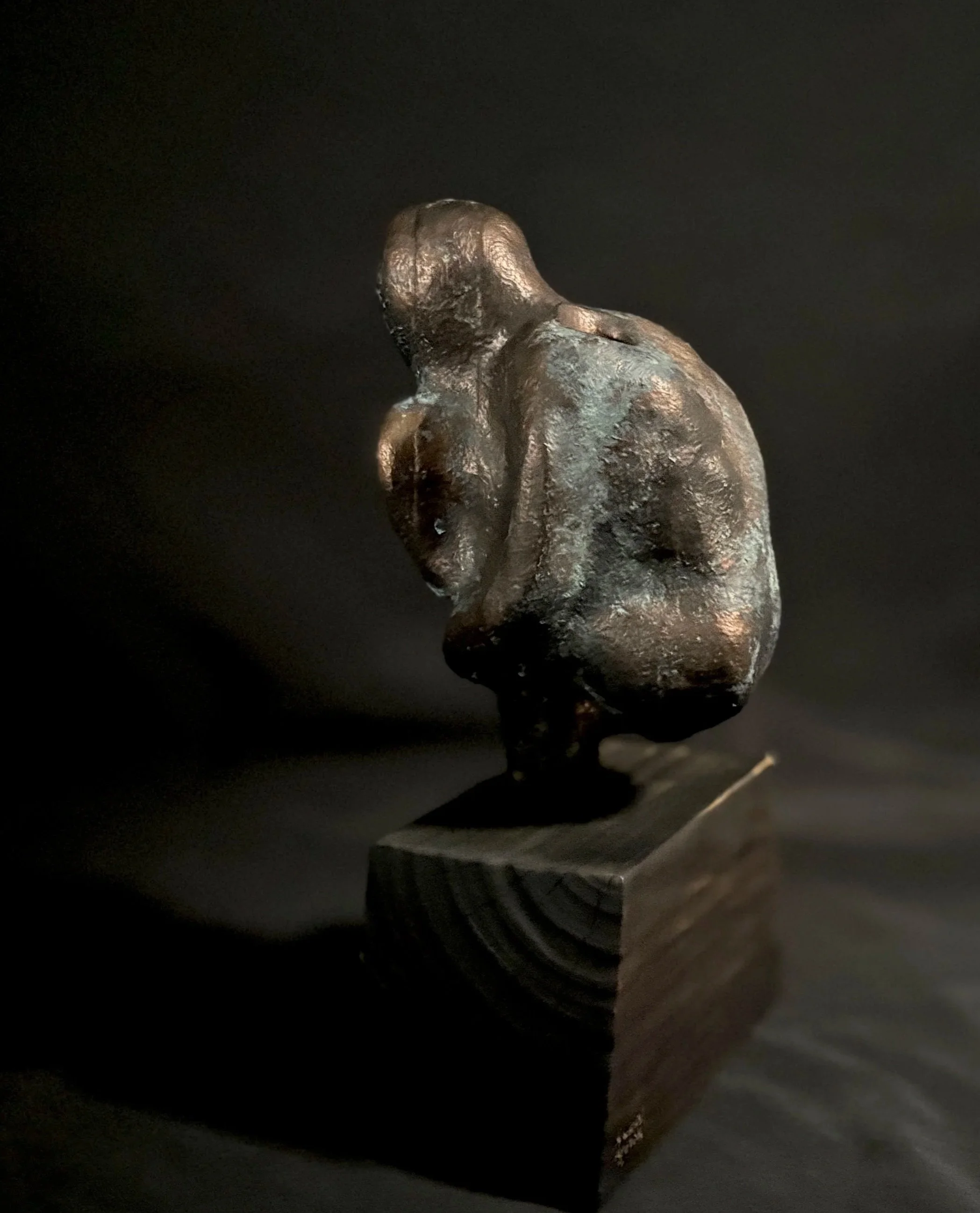 Divergence II, 2026. Paulownia, bronze coating — 12 x 7 in.