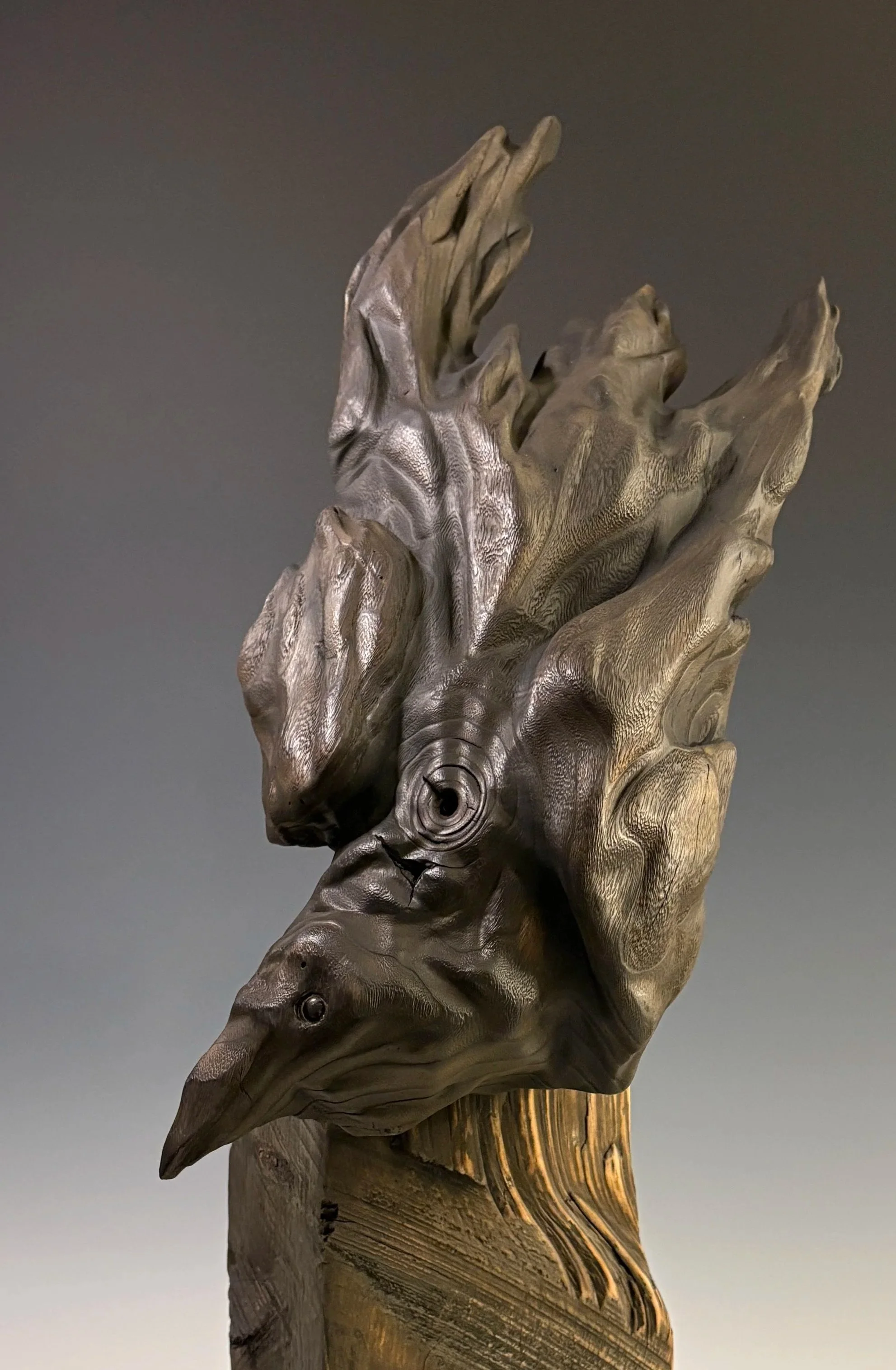 Raven's Breath — paulownia, white pine 25 x 12 in.  Private collection.