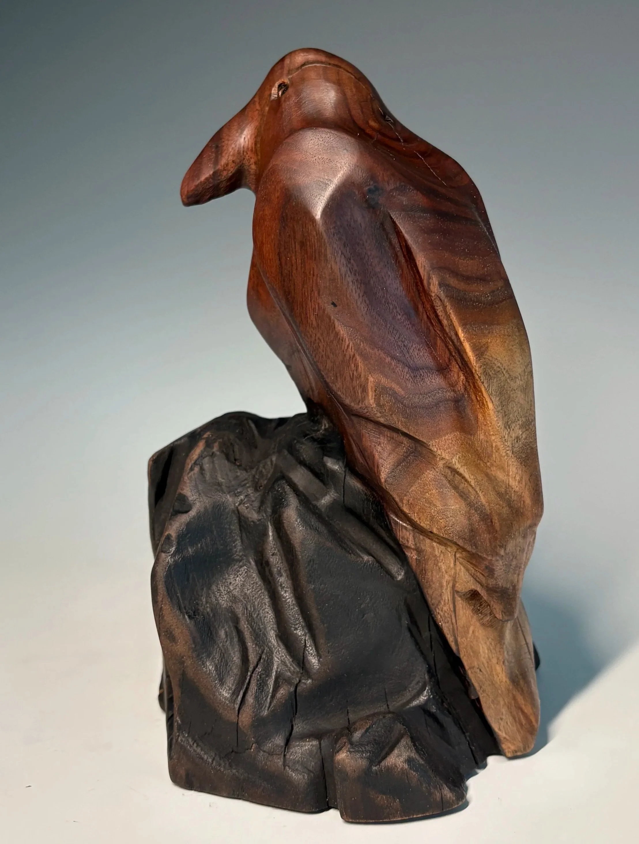 Walnut Raven