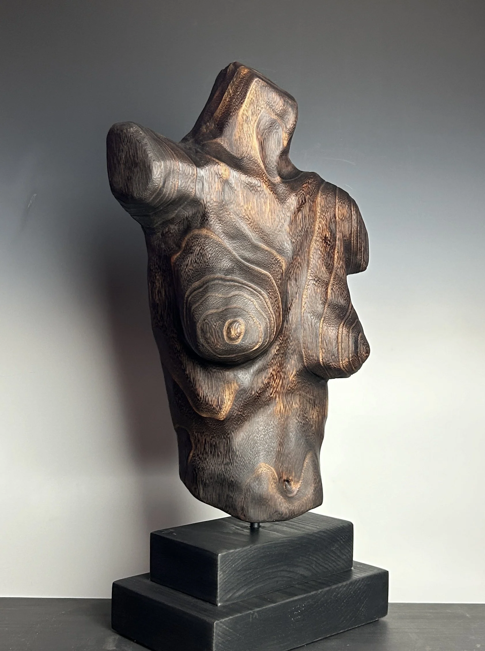 Lines of Resilience II — 21 x 10 in.