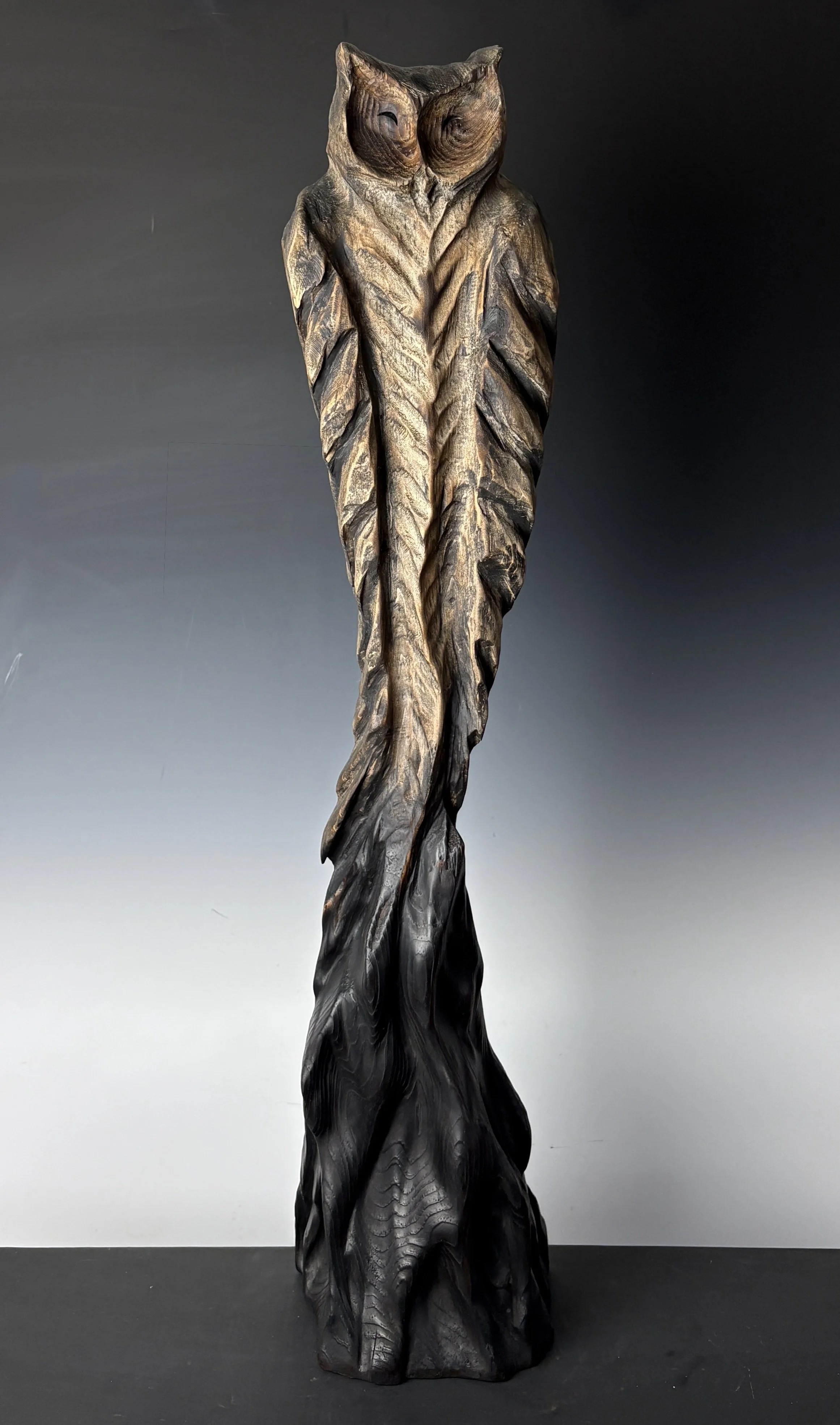 2025 Twilight Sentinel 28x6 WP.jpg