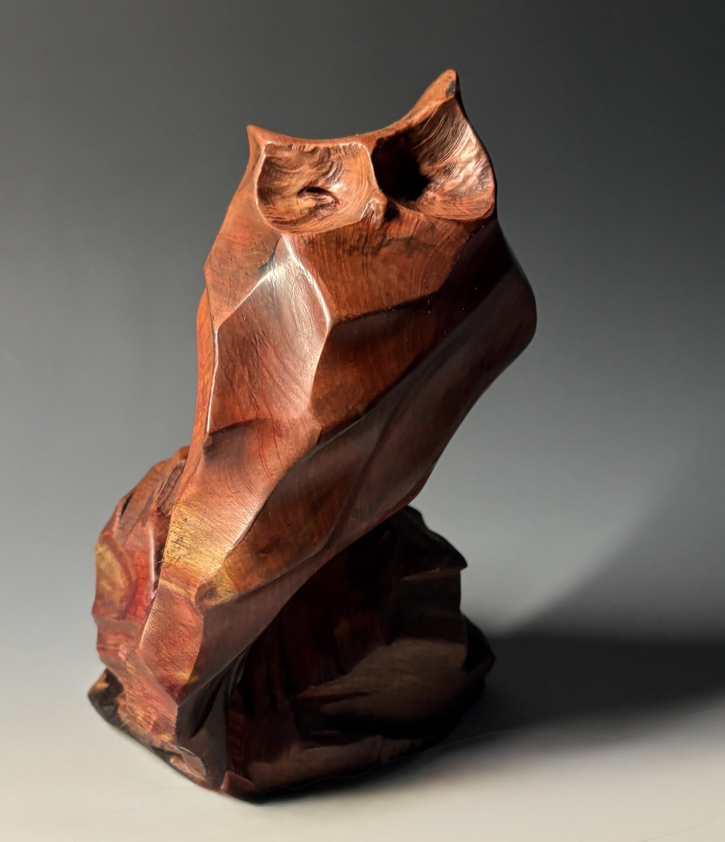SILENT ARIA
eastern redcedar, 6"