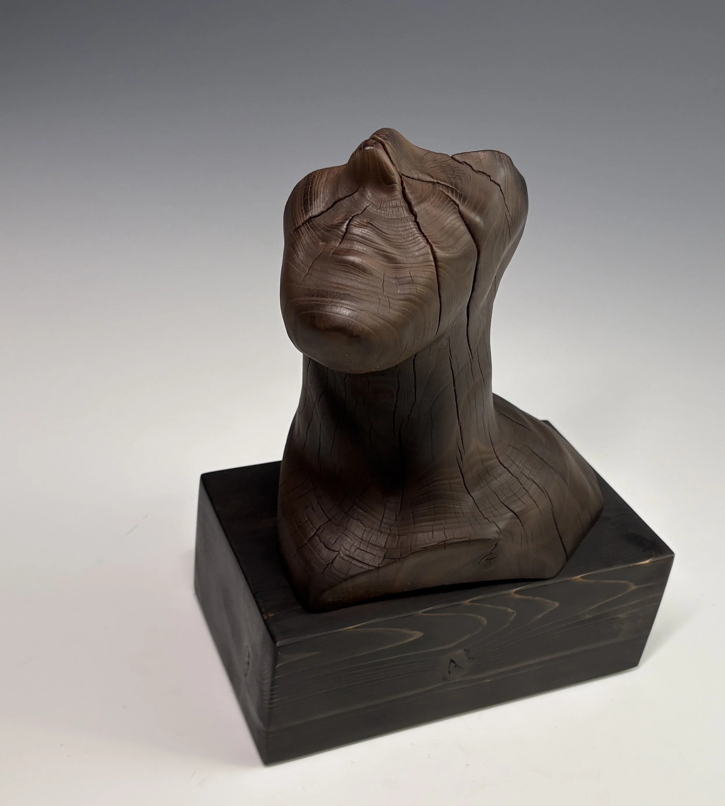 The Stargazer, 2025. Black Cherry — 12 x 9 in. The Lucy Clark Gallery