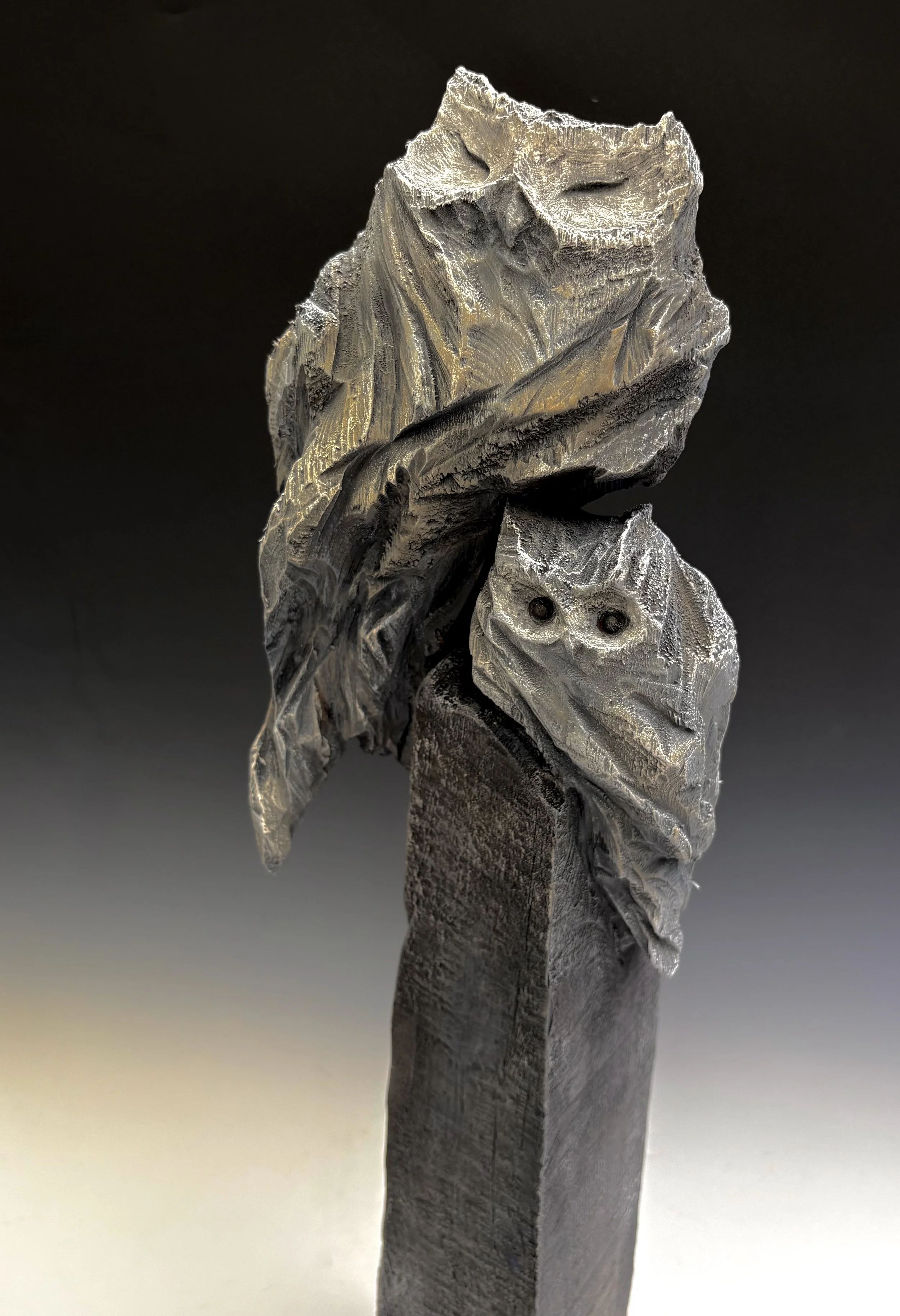 Shelter VIII