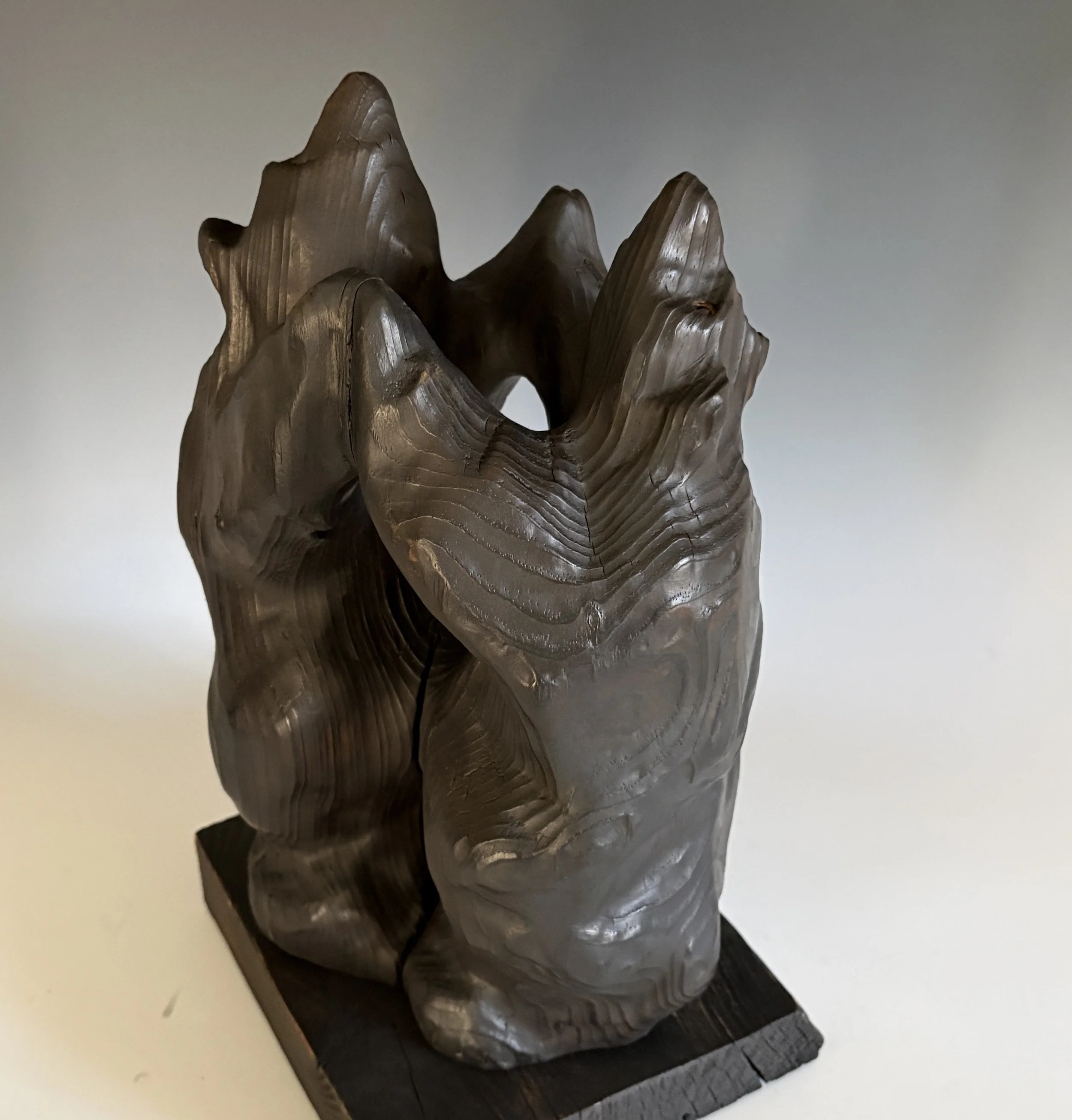 It Takes Two, 2025. White Pine — 17 x 9 in, The Lucy Clark Gallery.