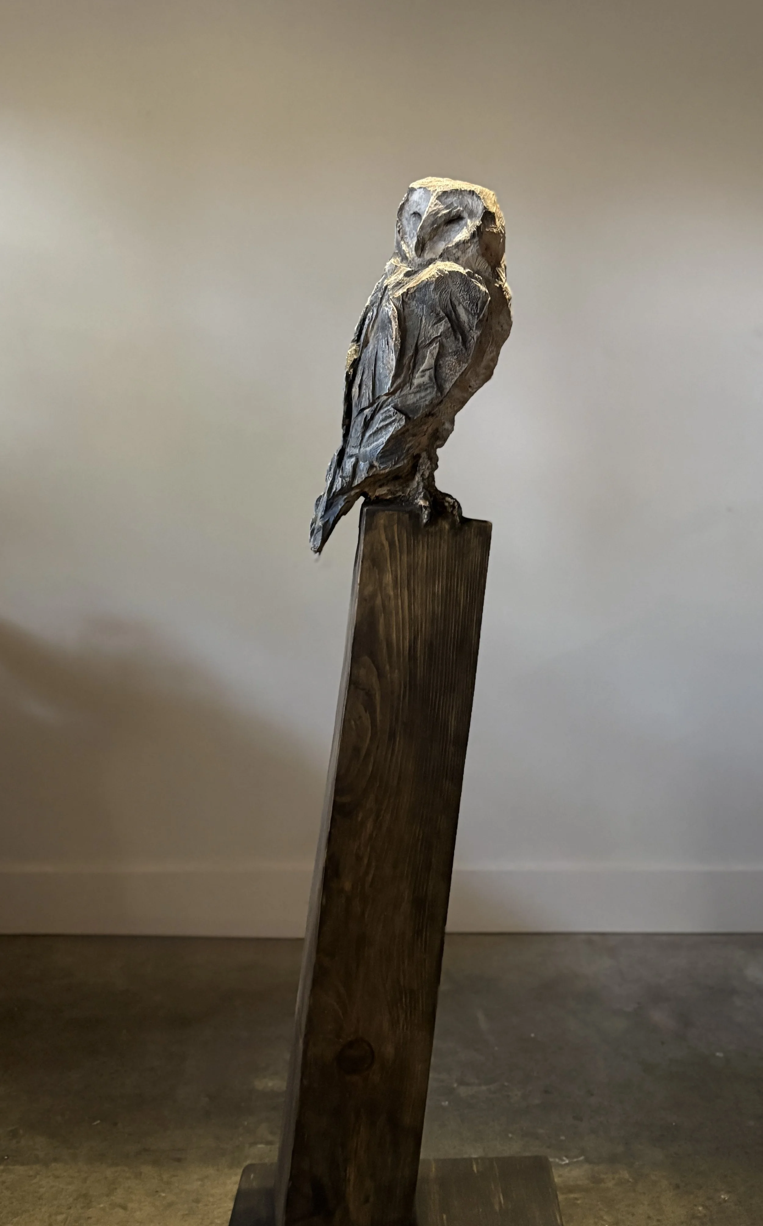 Hindsight — 52 x 17 in. 